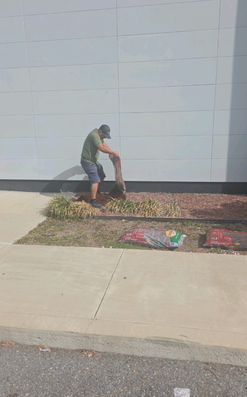  for Pro Lawn Care RGV in McAllen, TX