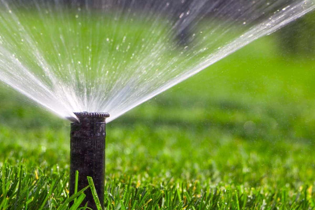  for Wake & Franklin Grounds Maintenance in Raleigh, NC