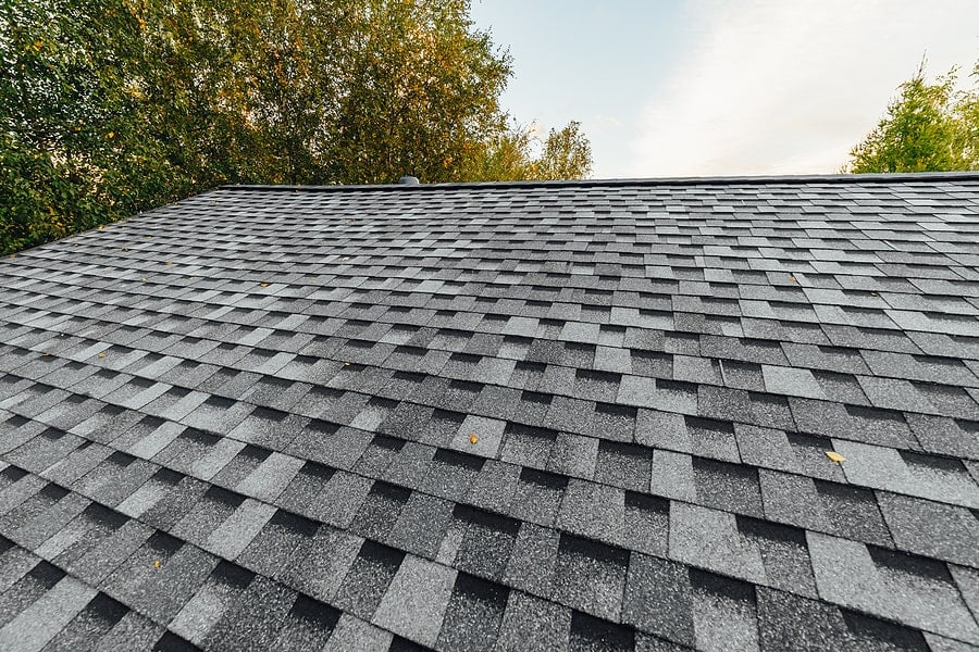 Wasson Roofing and General Contracting team in Lancaster, CA - people or person