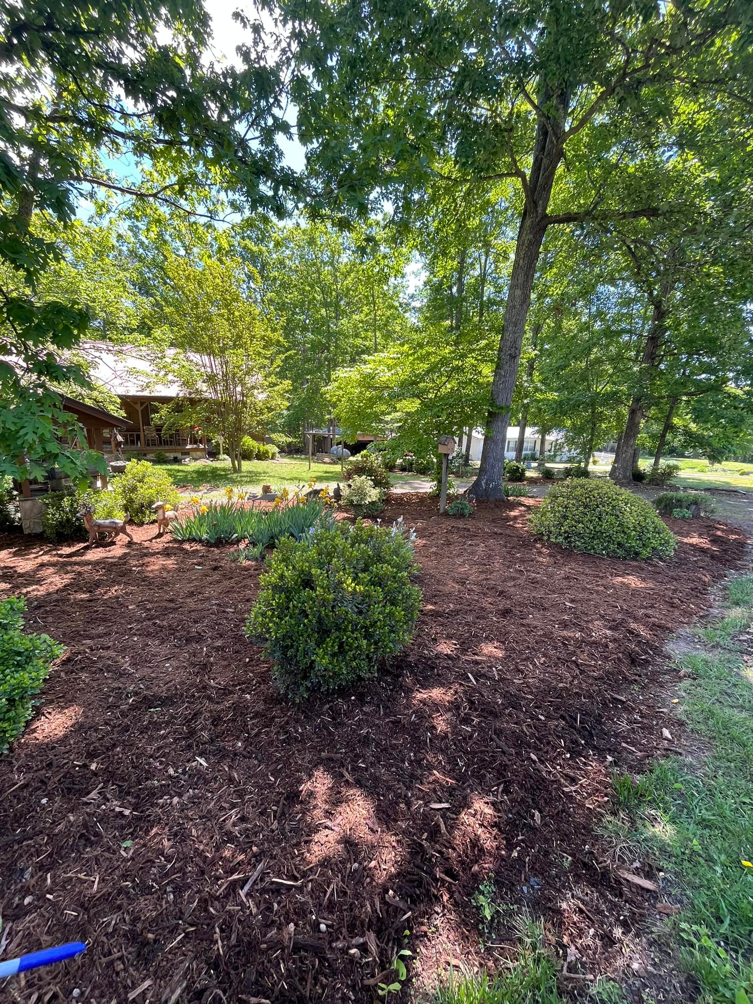  for DW’s Tree Service in Winston-Salem, NC