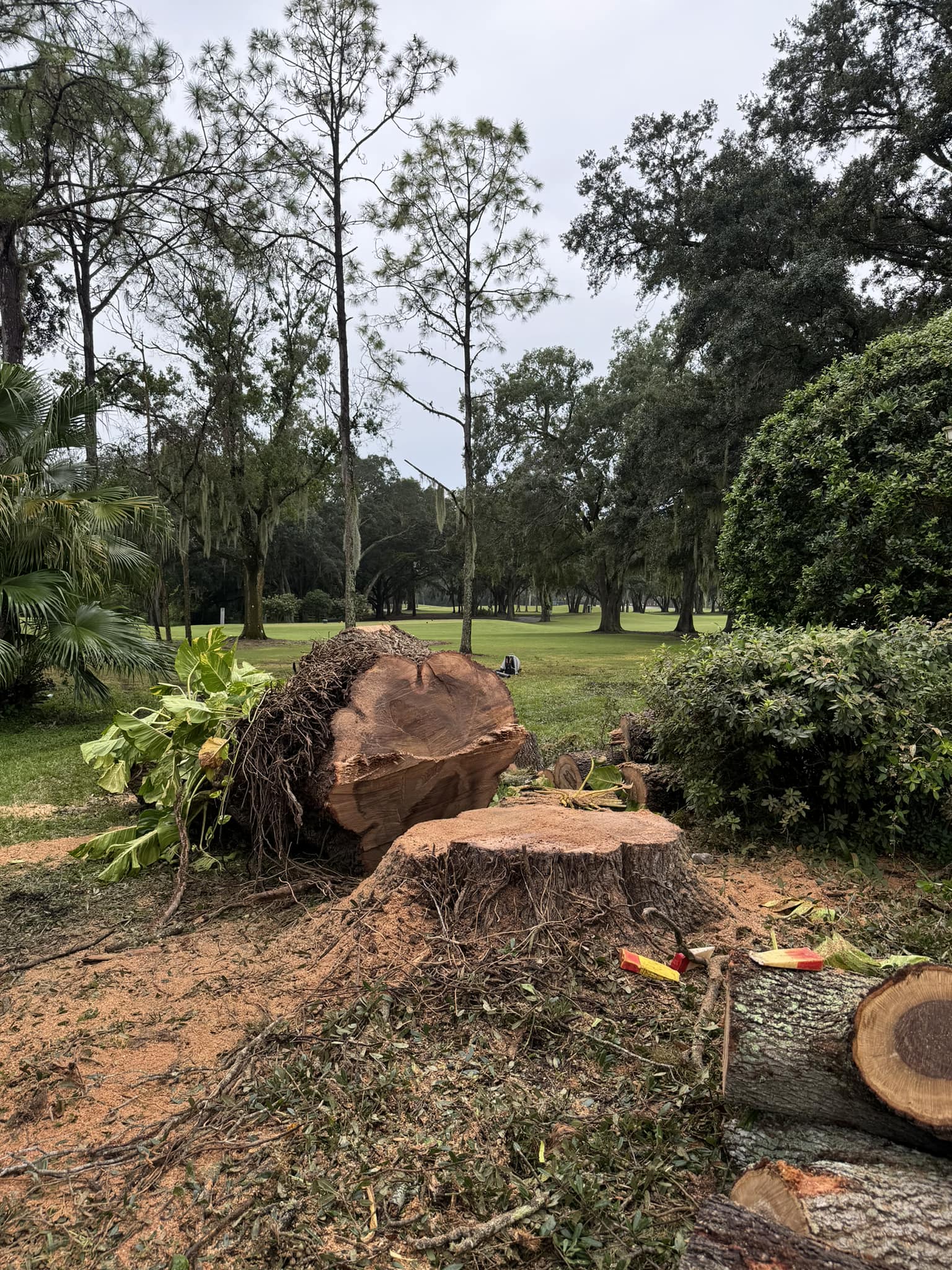 Ryker's Tree Service team in Dunedin, FL - people or person