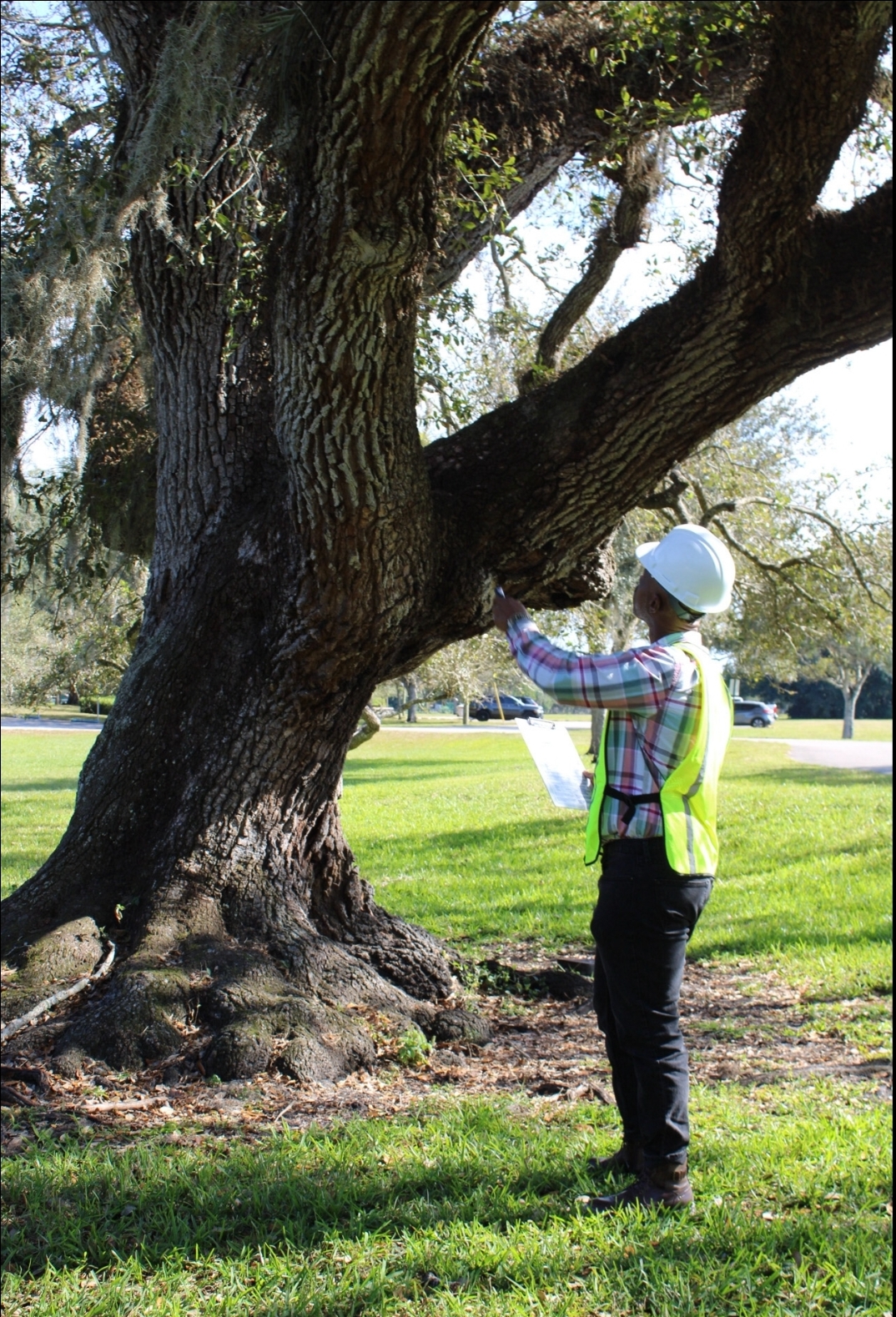  for Bridgewater Arbor Care LLC in Jupiter, FL