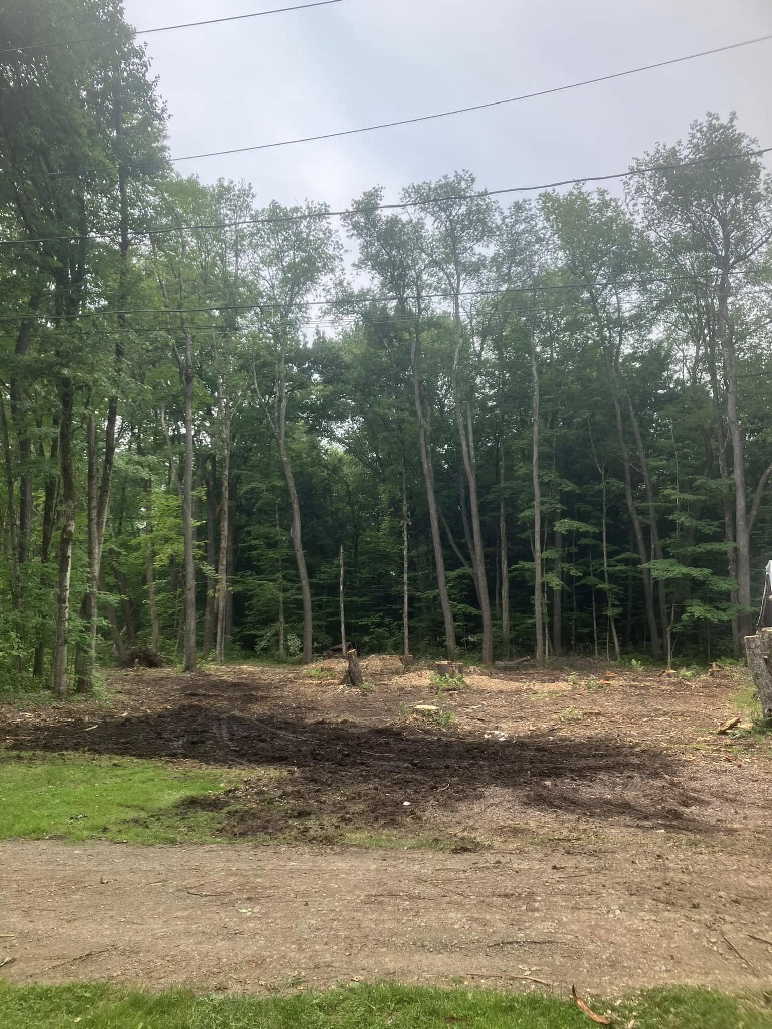  for Lovenguth Logging and Tree Service in West Monroe, NY
