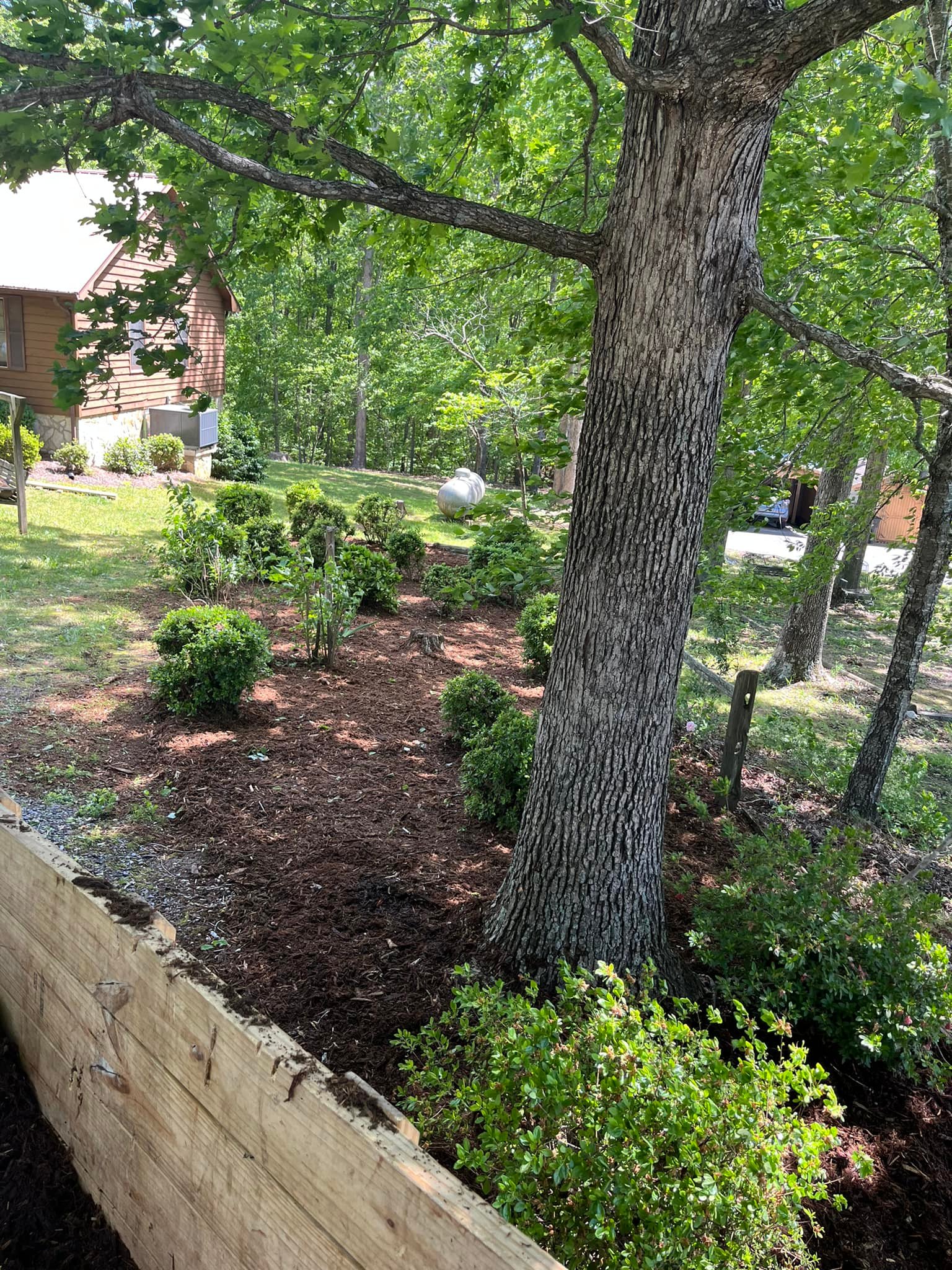  for DW’s Tree Service in Winston-Salem, NC