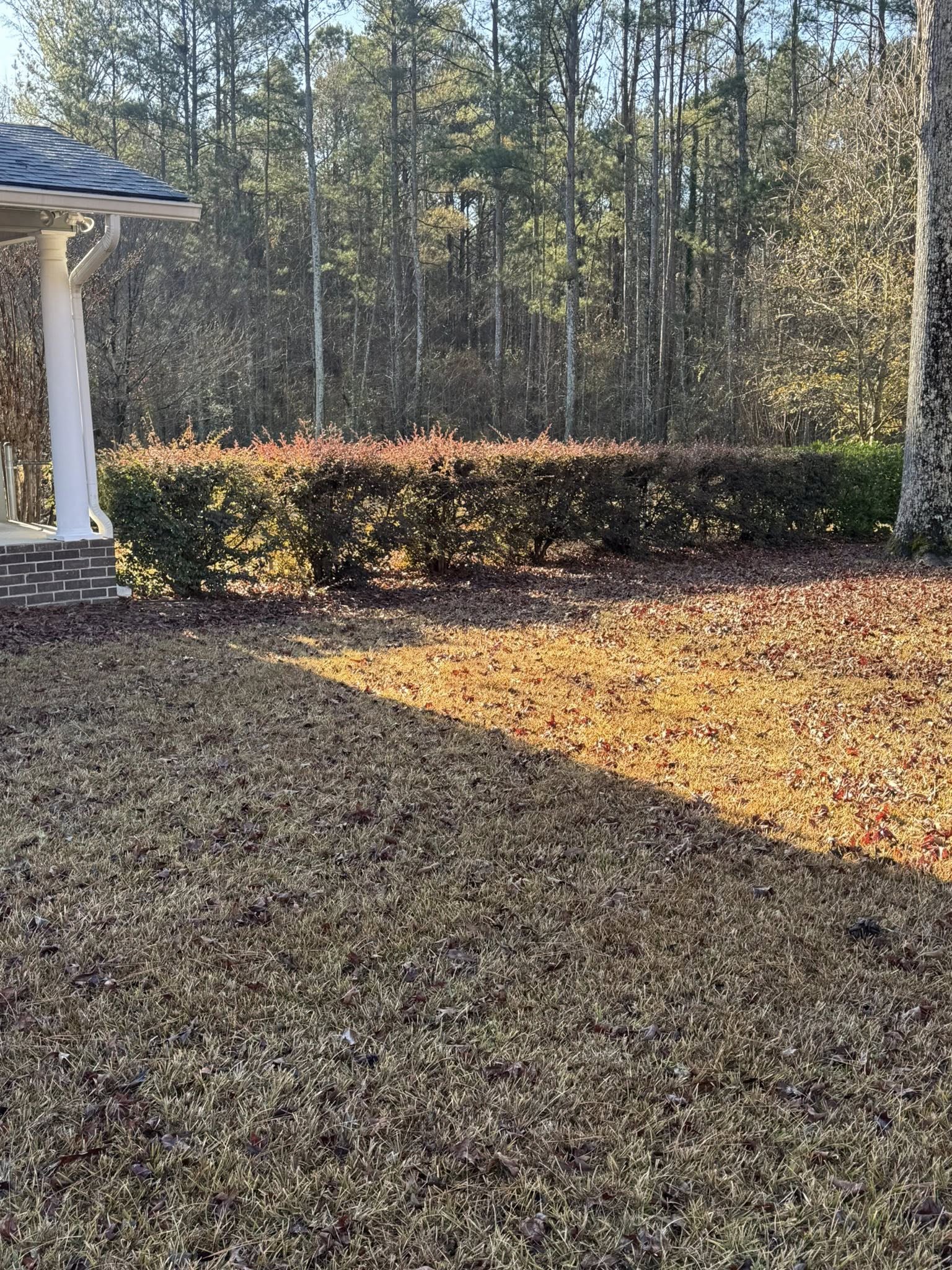  for Sunrise Lawn Service LLC in Athens, Georgia
