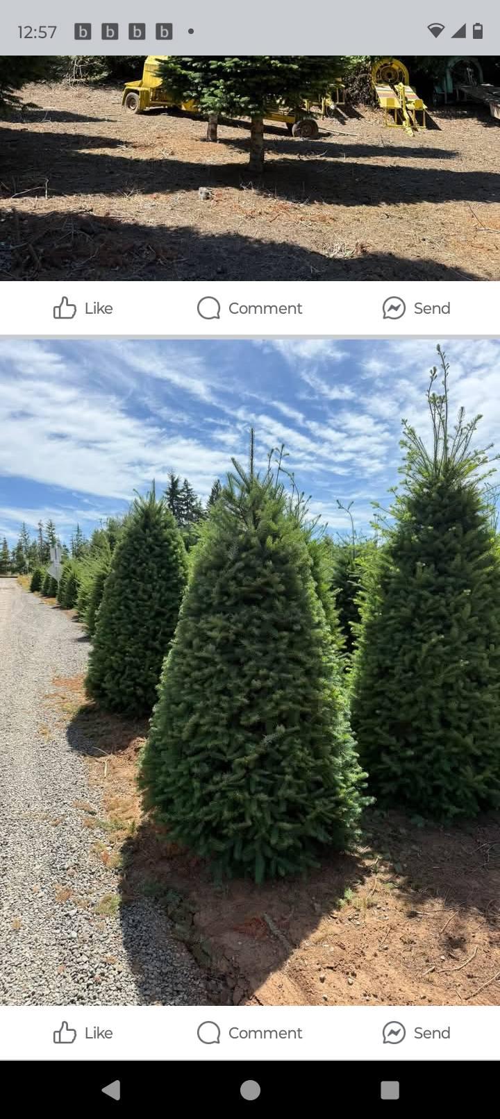  company BAM Another Pinestraw Lot in Flowery Branch, GA