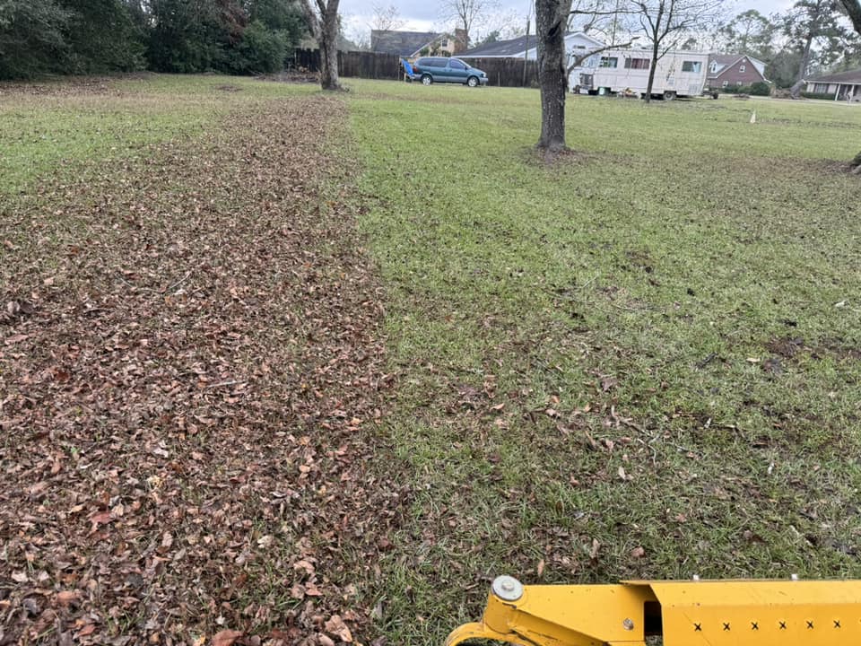  for Sierra Verde Landscaping in Vidalia, GA