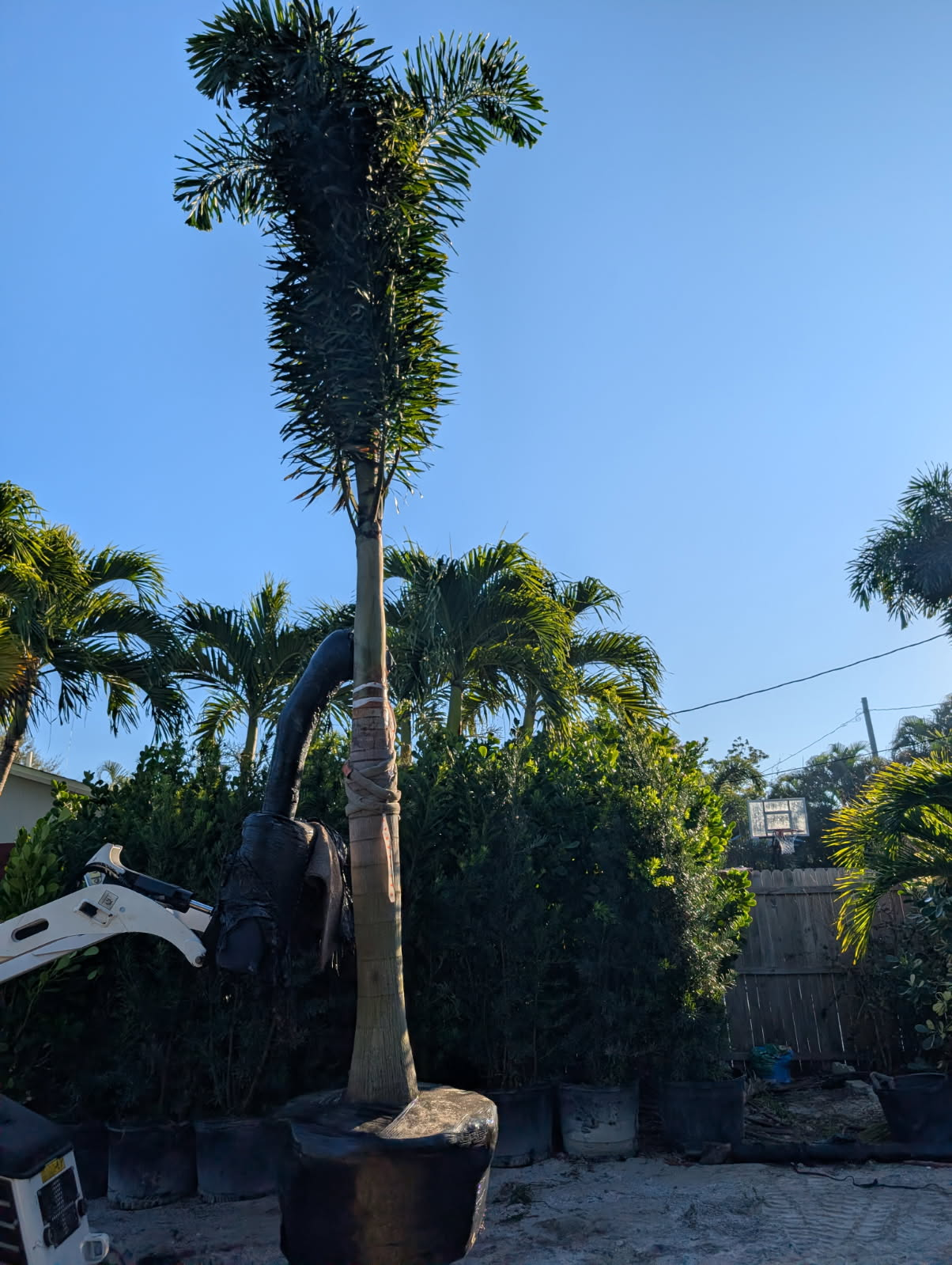  for Plant World LLC in Cape Coral, FL