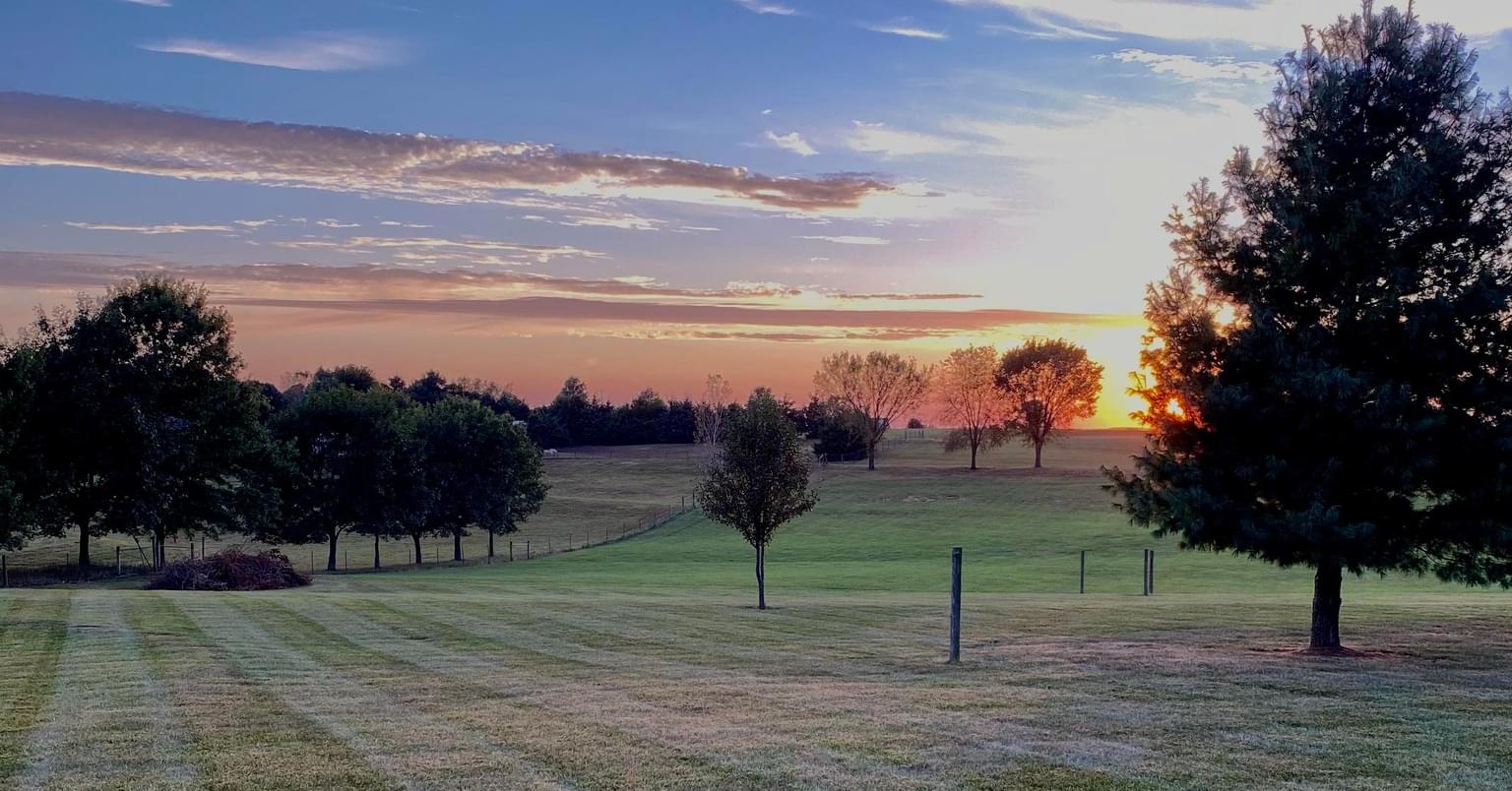  for Elite Lawn Care Solutions in Basehor, KS