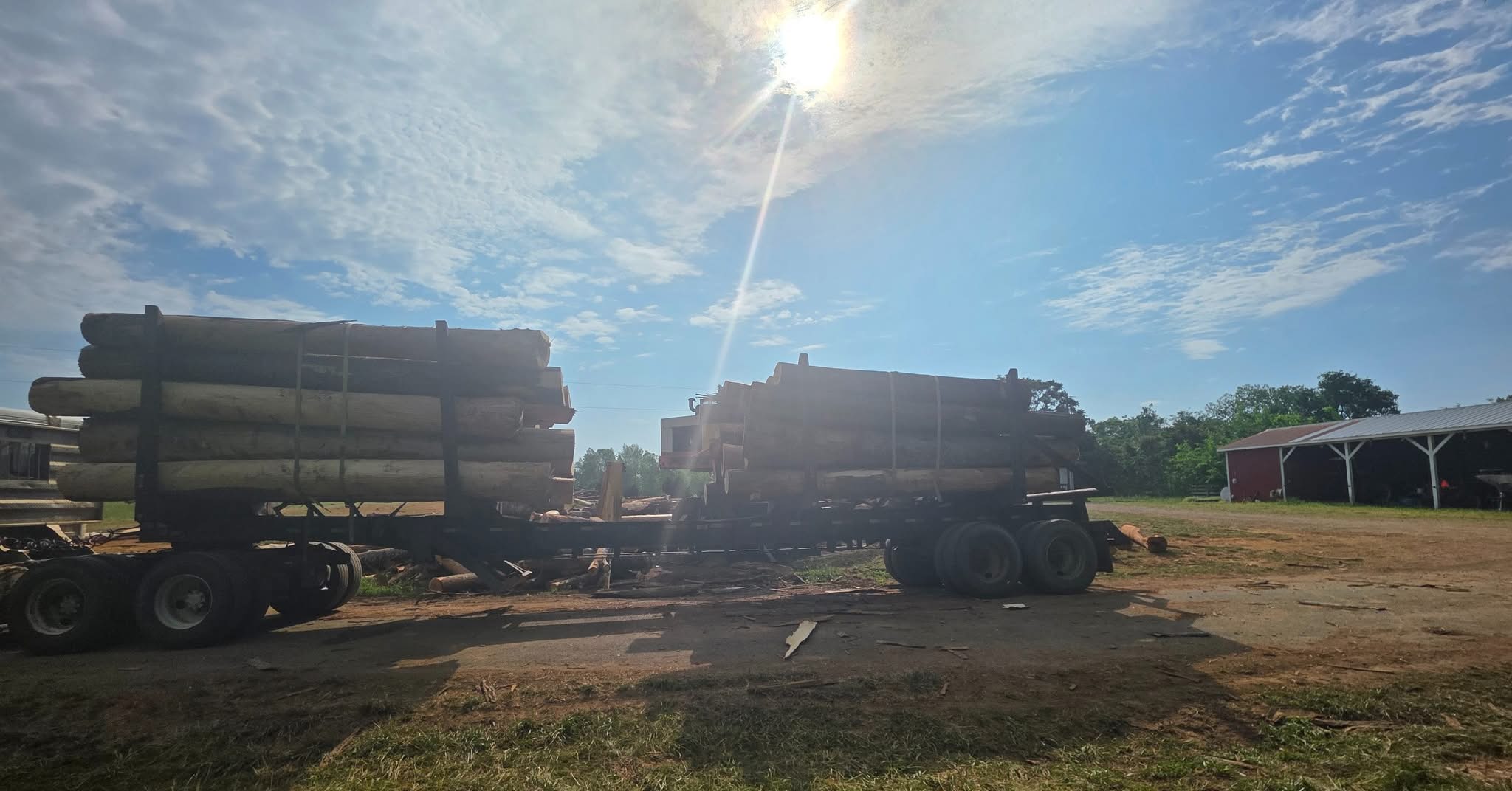  for 9 Oaks Tree Service and Excavation in Drakes Branch, VA