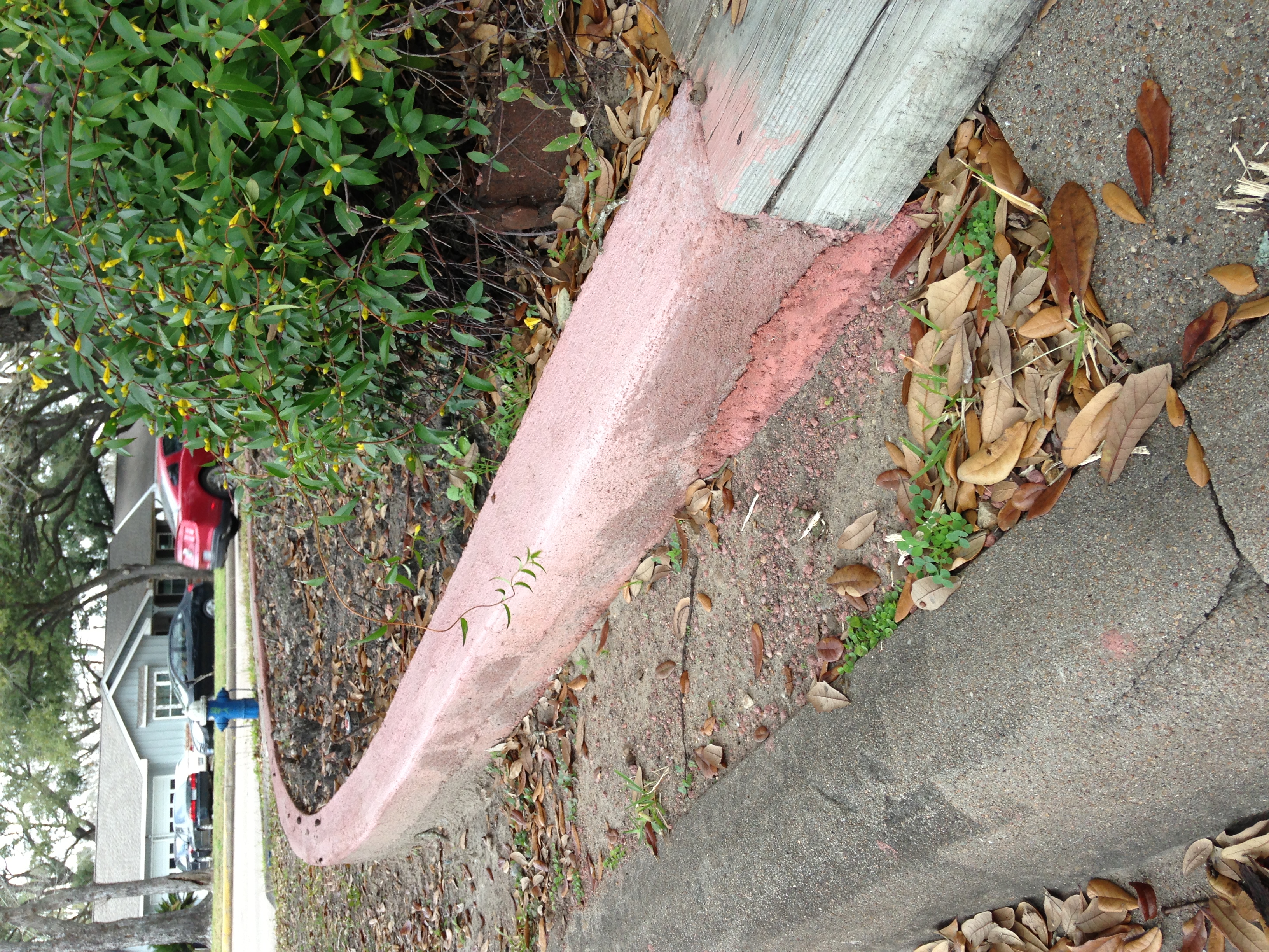  for Texas Curb N Borders in Houston, TX