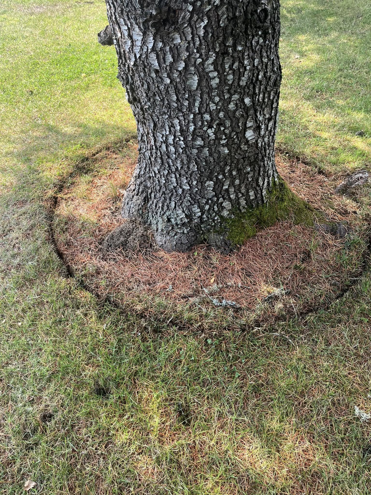  for Ring Property Maintenance in Willamina, OR