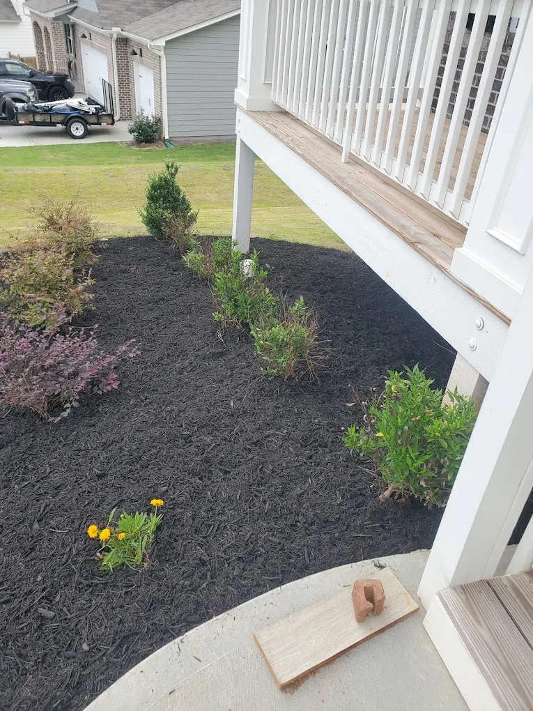 Palmour's Lawn Care team in Gainesville, GA - people or person