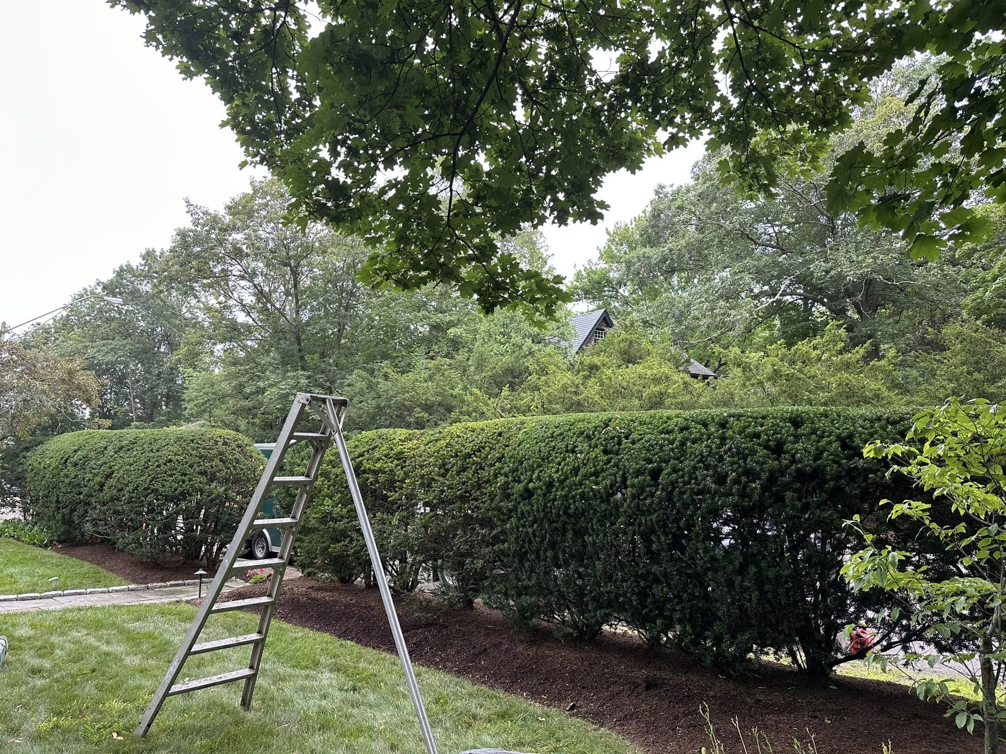  for Saavedra & Sons Landscaping in Waltham, MA