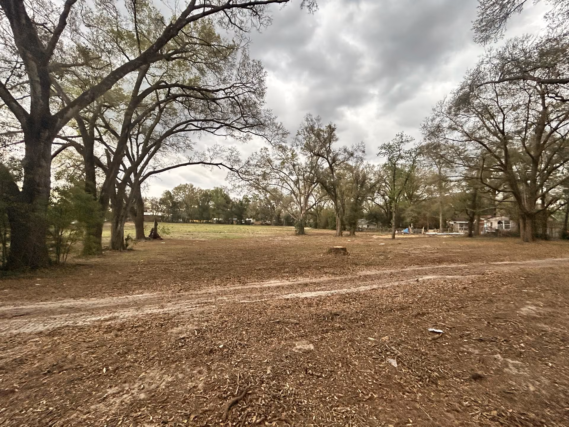 Full Property Cleanup with Tree Work and Driveway Grading