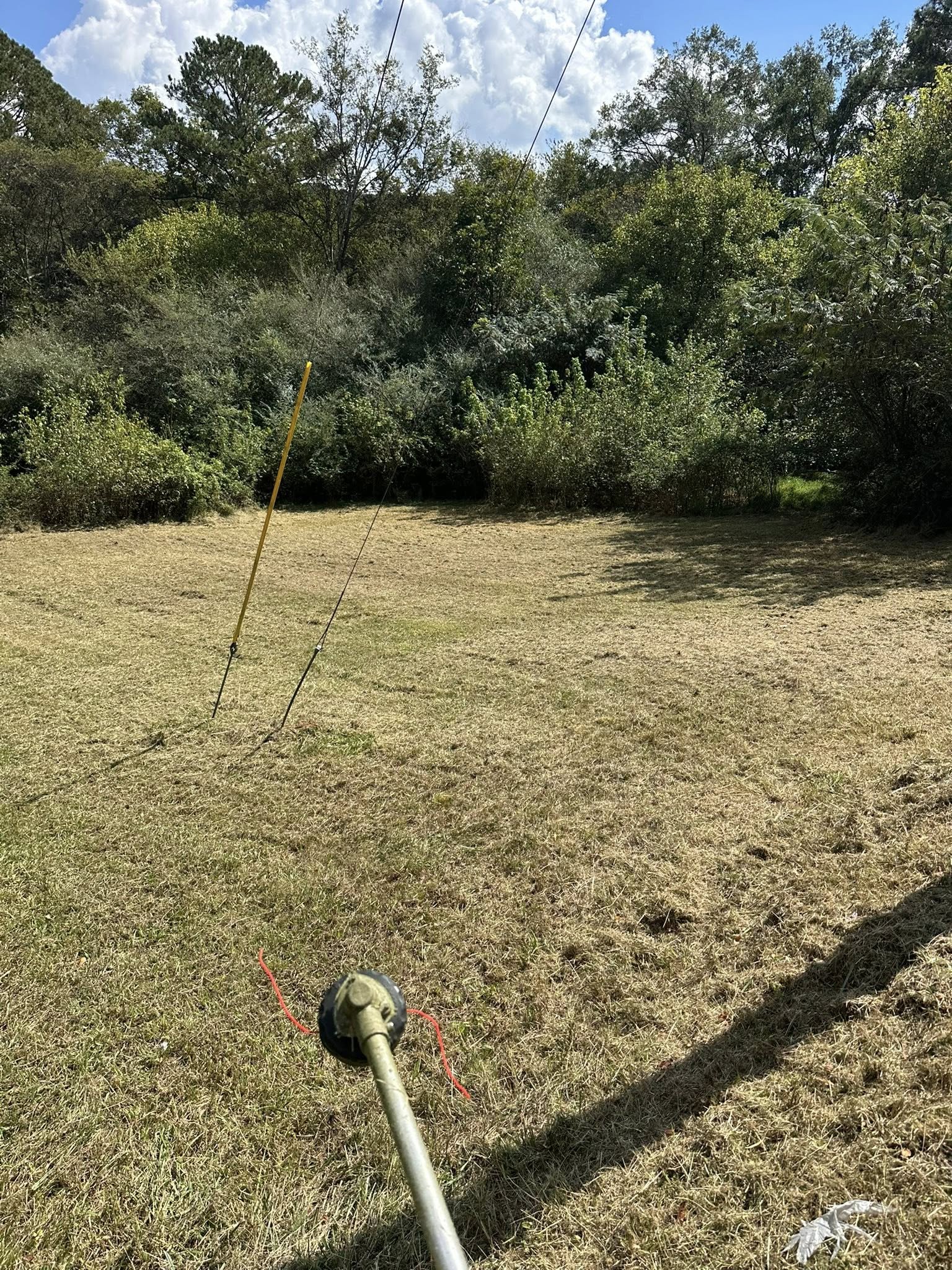  for Buddy’s Outdoor Solutions in Rome, GA