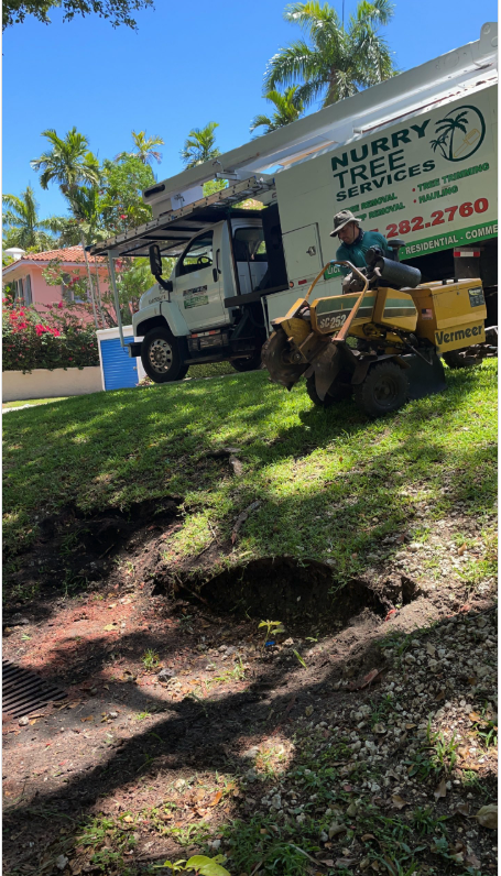  for Nurry Tree Services in Miami, FL