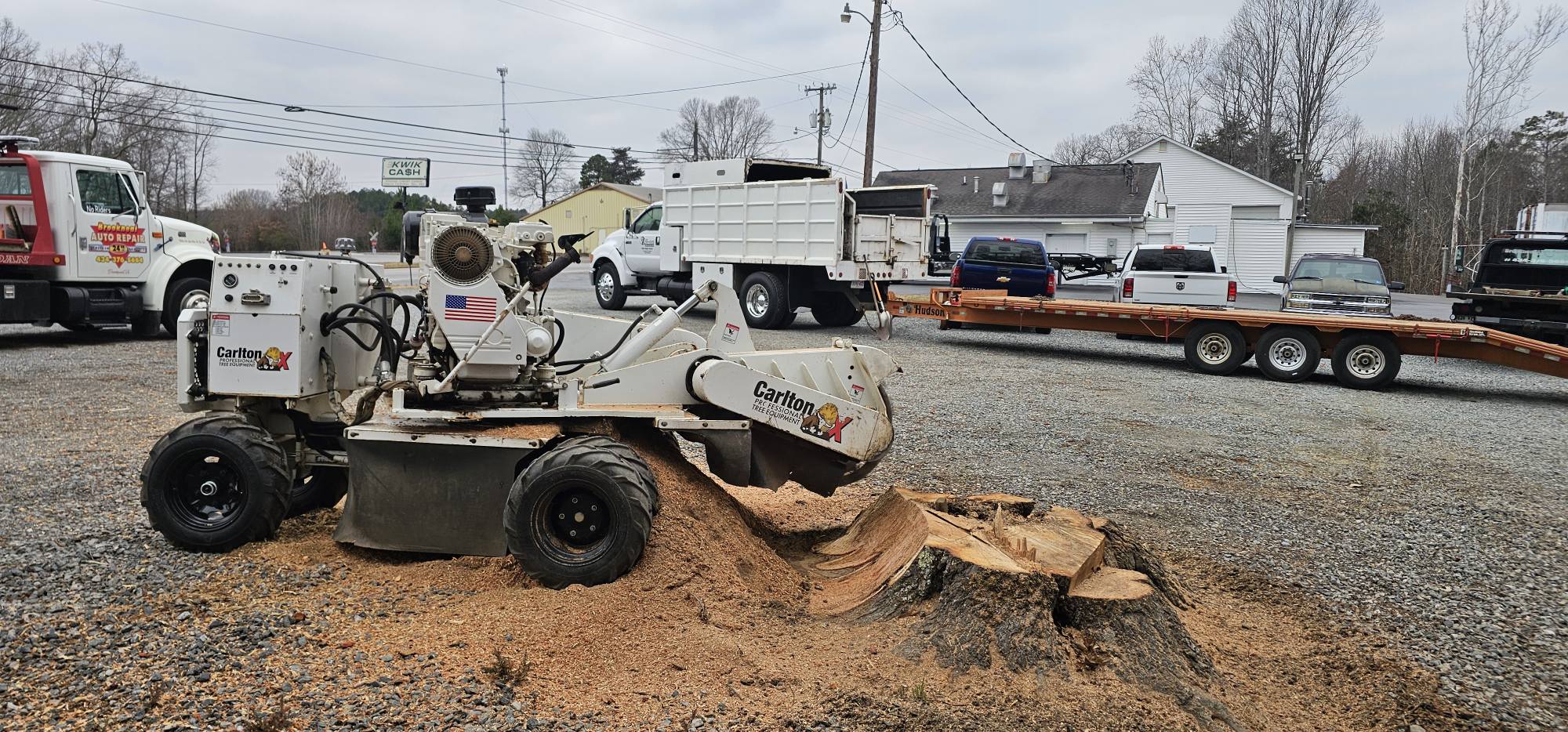  for Hamlett Tree Service LLC in Clover, VA