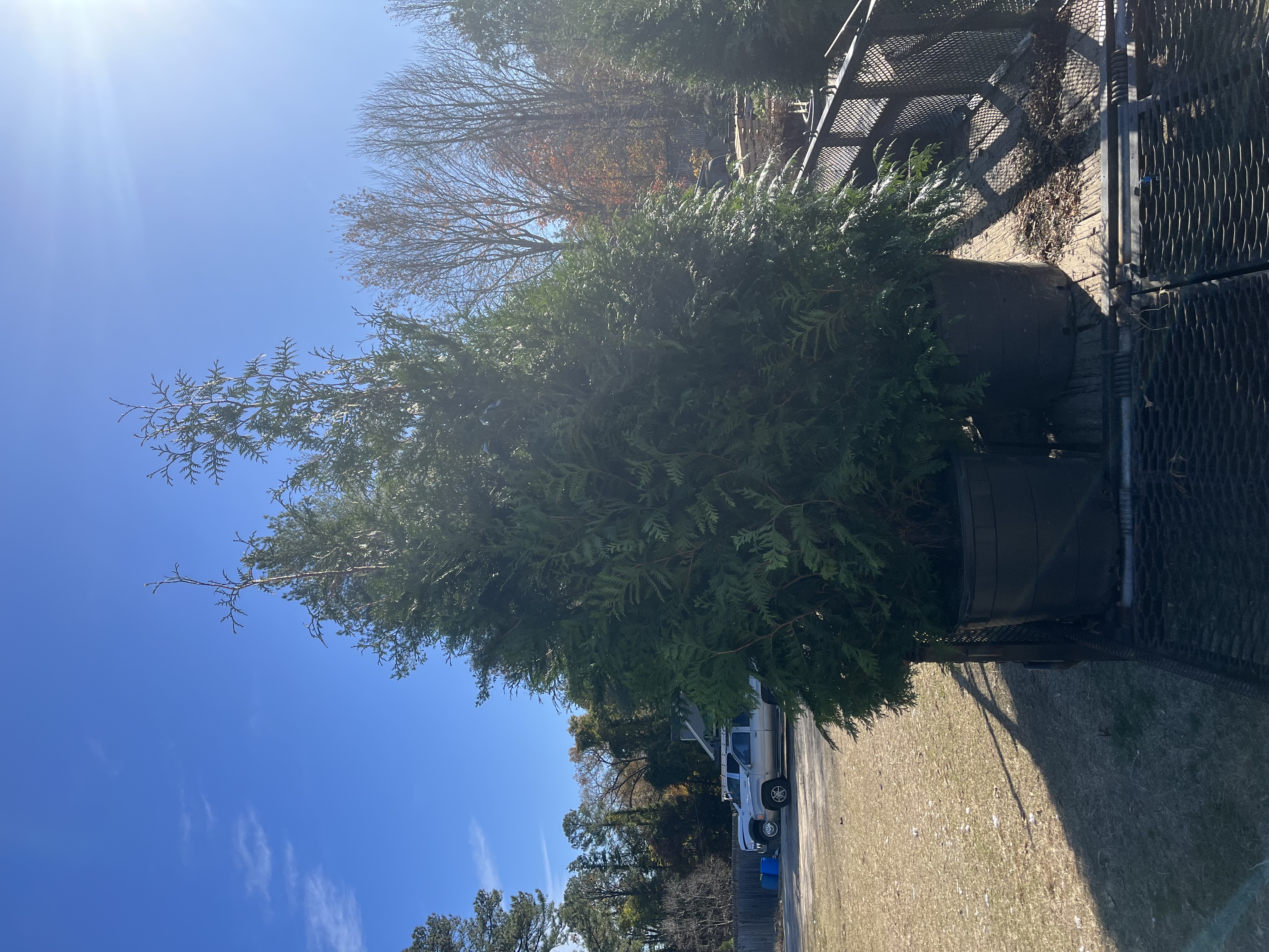  for Atlas Home Services in Mechanicsville, VA