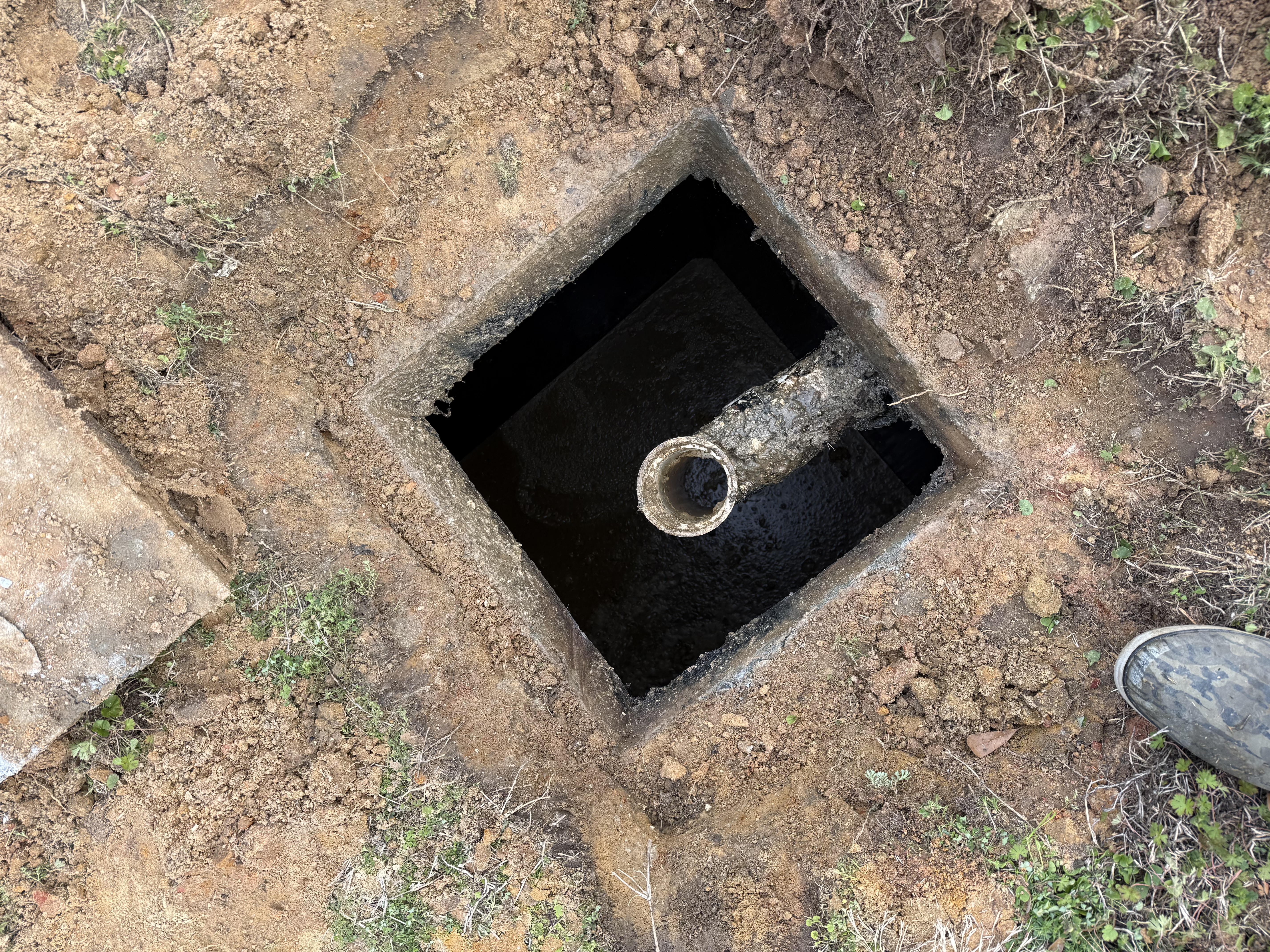  for Masse Septic & Plumbing in Sylvania, GA
