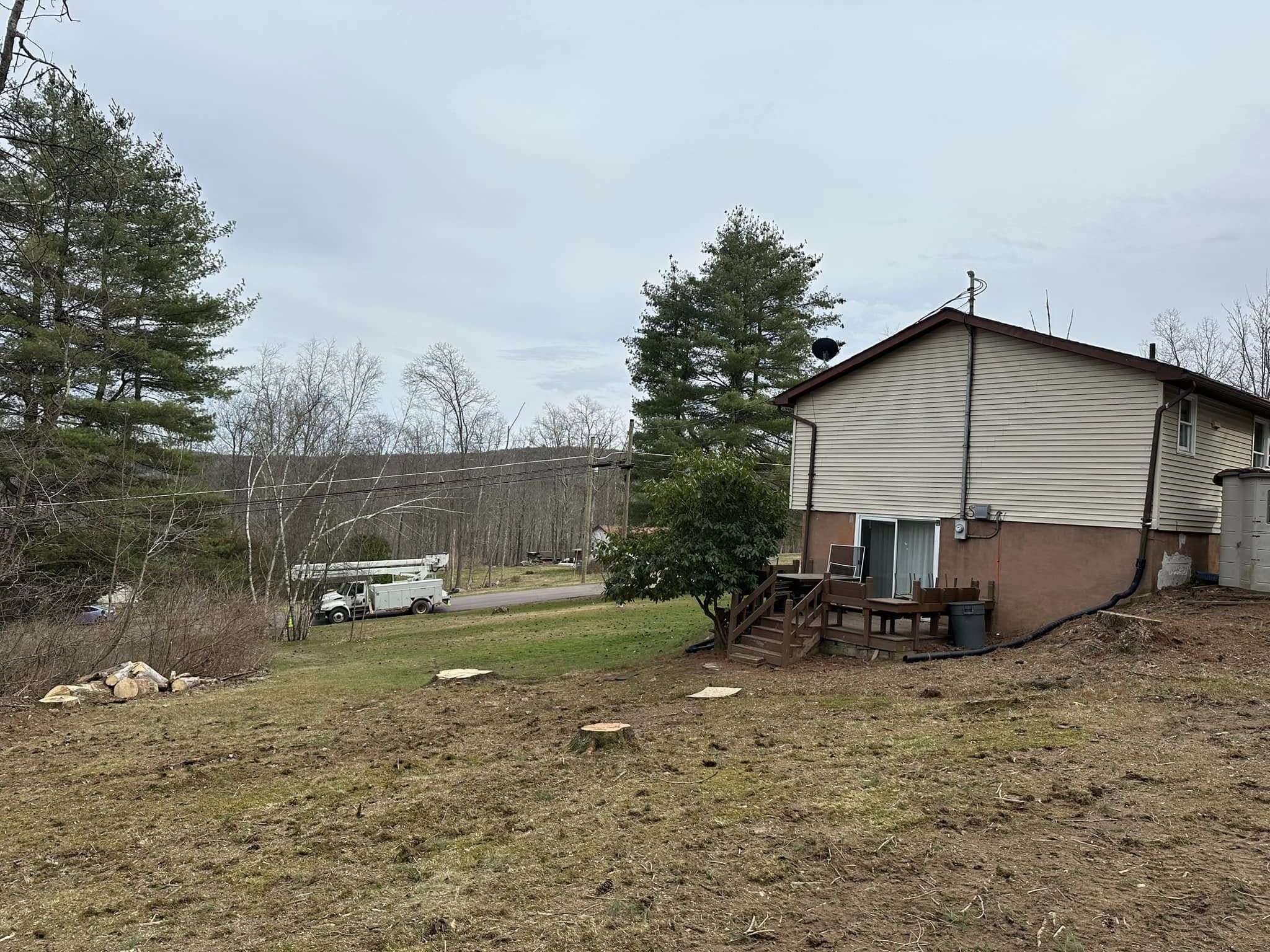  for All American Tree Services LLC in Dallas, PA