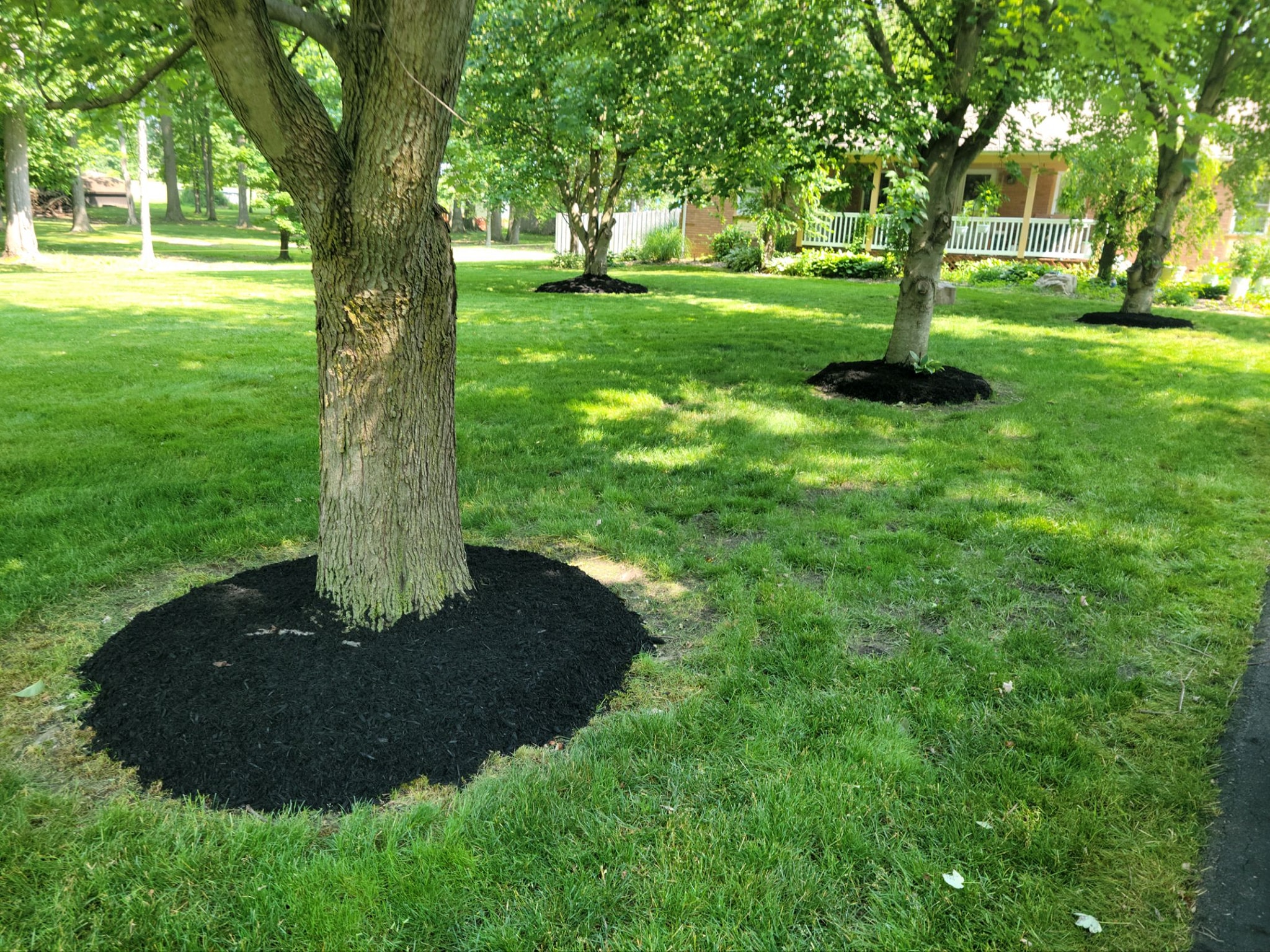 A&A Lawnworks team in Maximo, OH - people or person