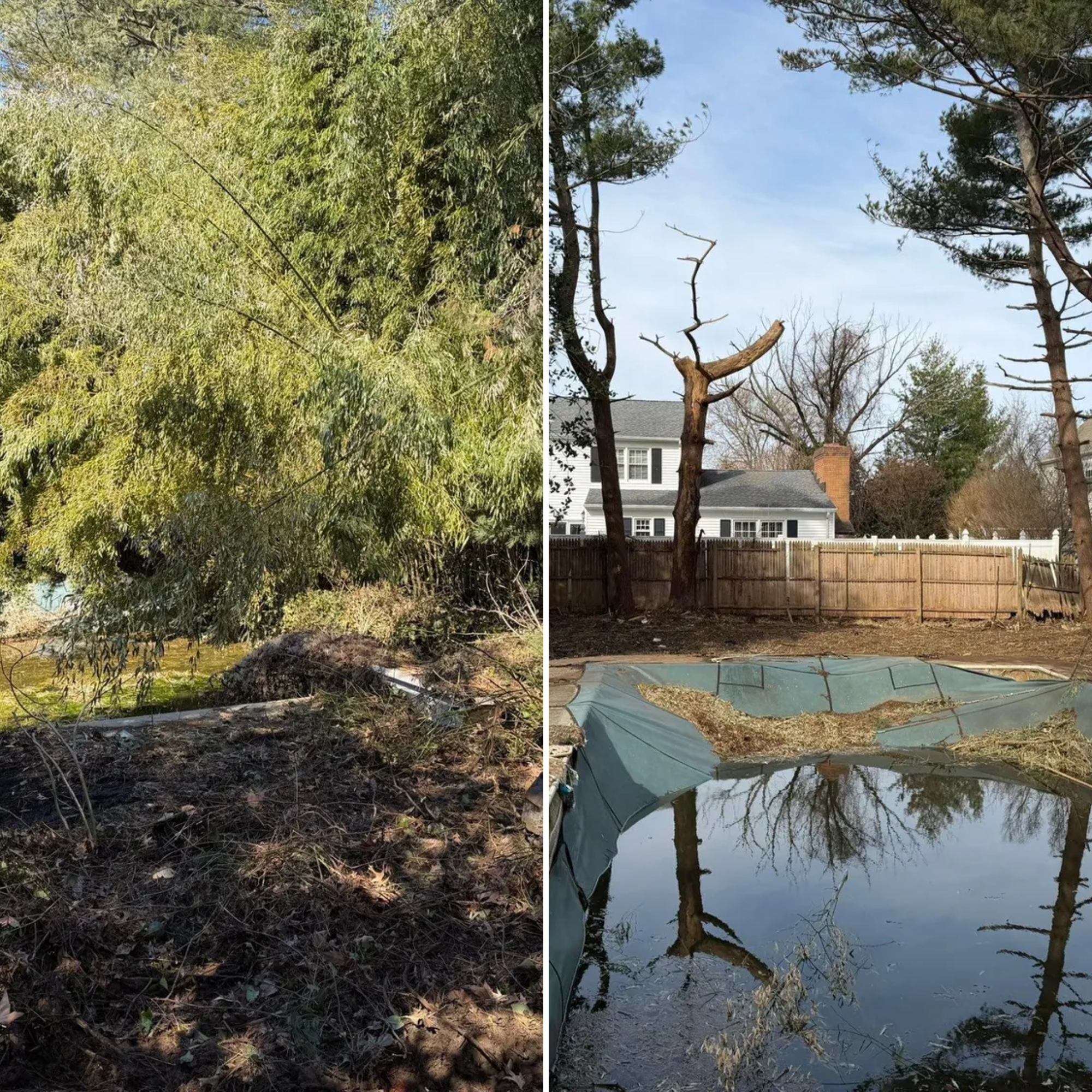  for Home Perfection LLC in Brick Township, NJ