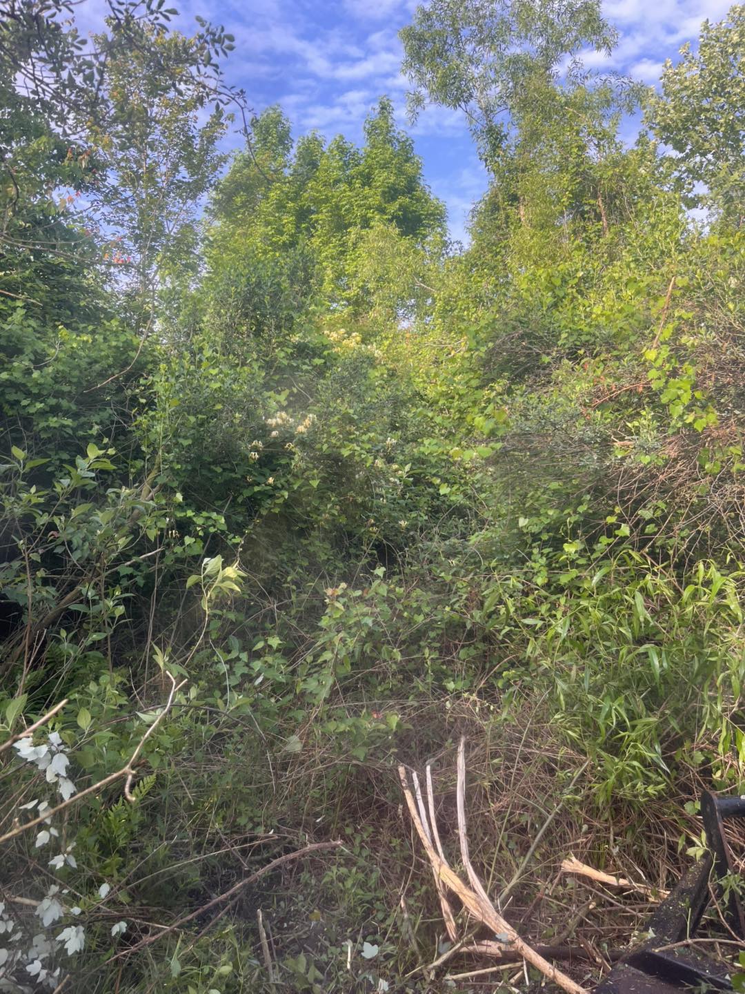  for Pinewood Land Management LLC in Nashville, GA