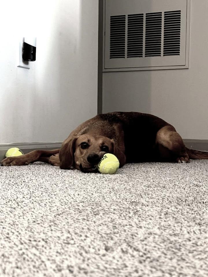  for Strange Soles in Boston, MA