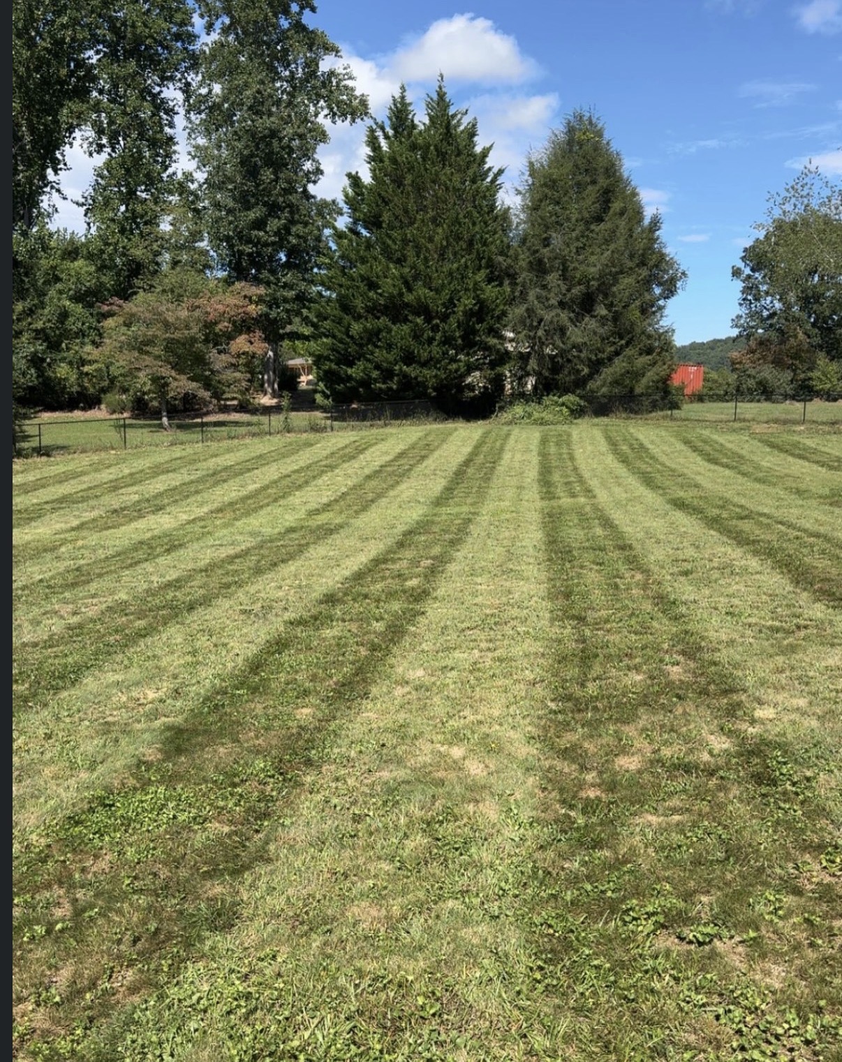  for John Lawns in Candler, NC