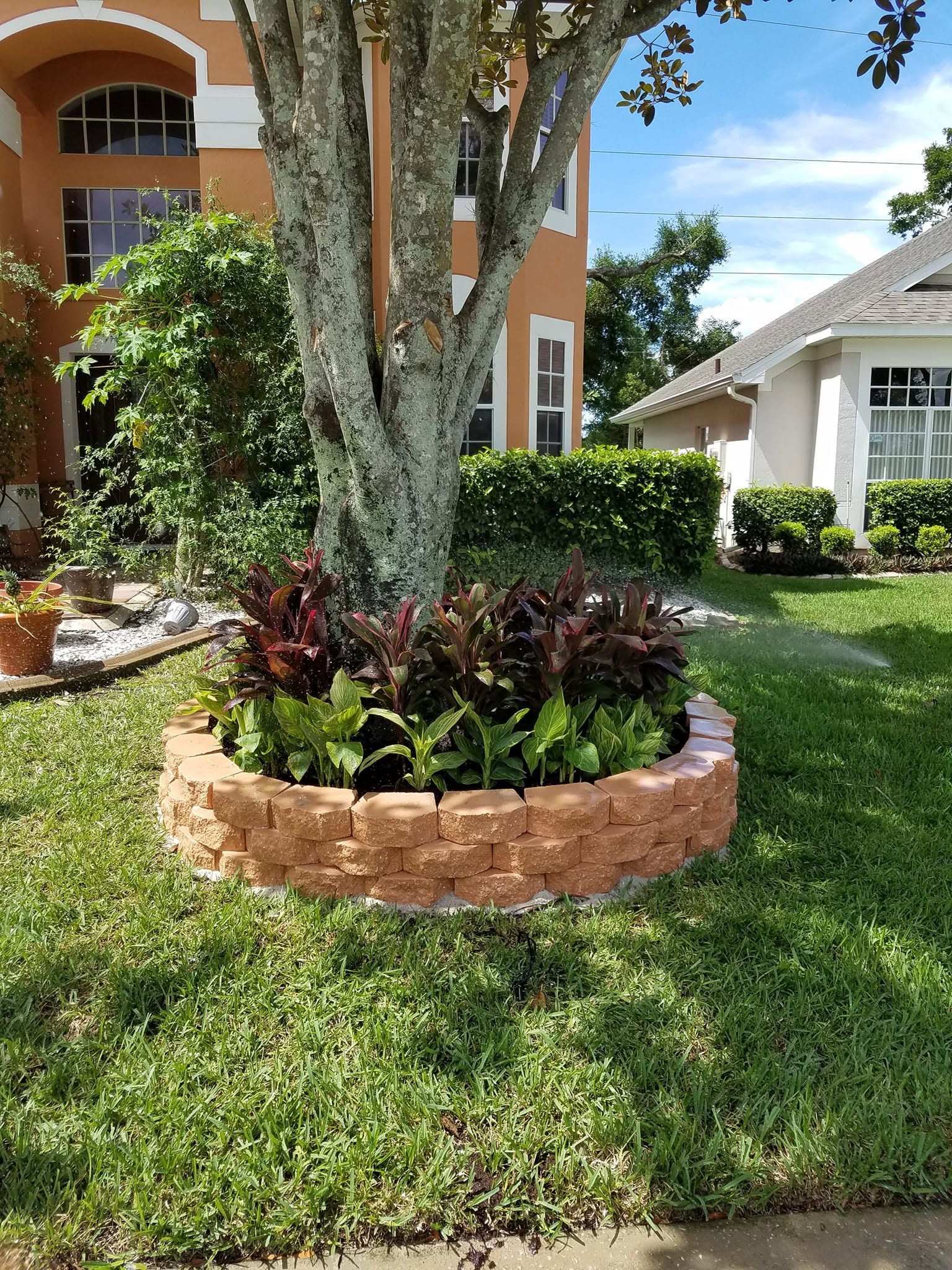  for Nate the Garden Guru in Orlando, FL
