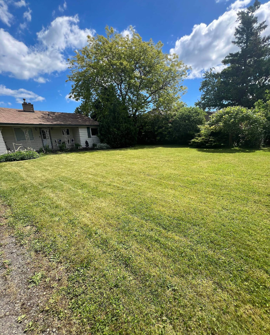  for CMN Exterior Maintenance in Hamilton, ON