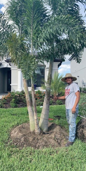  for Plant World LLC in Cape Coral, FL