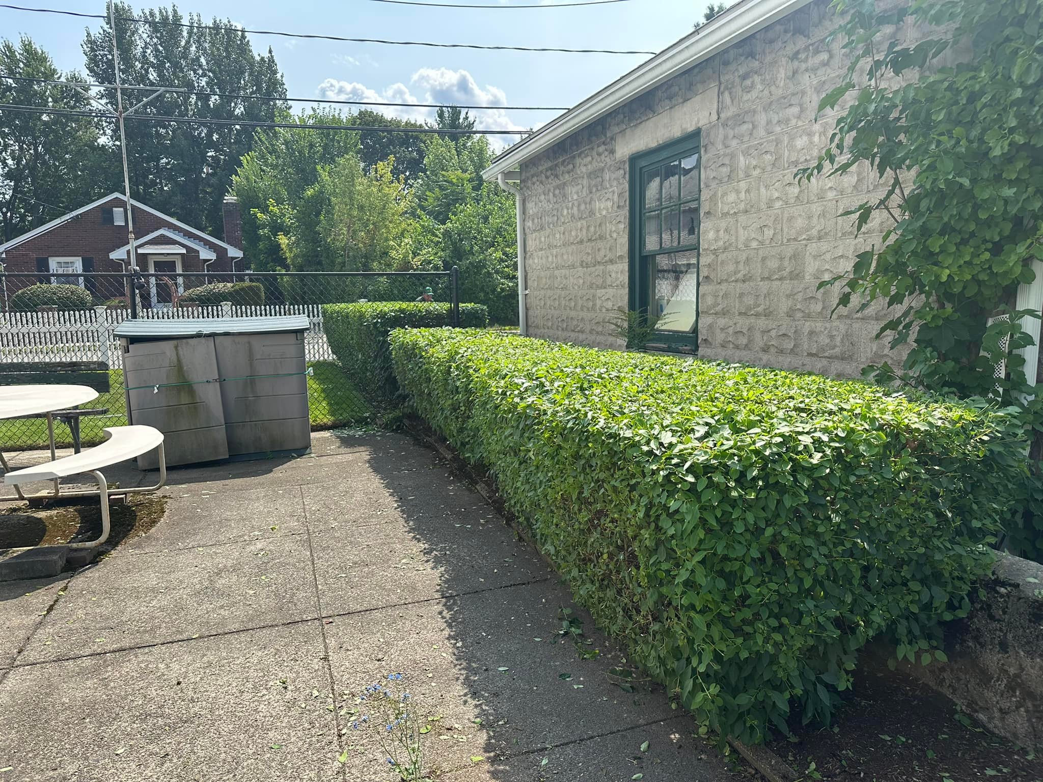  for Saavedra & Sons Landscaping in Waltham, MA
