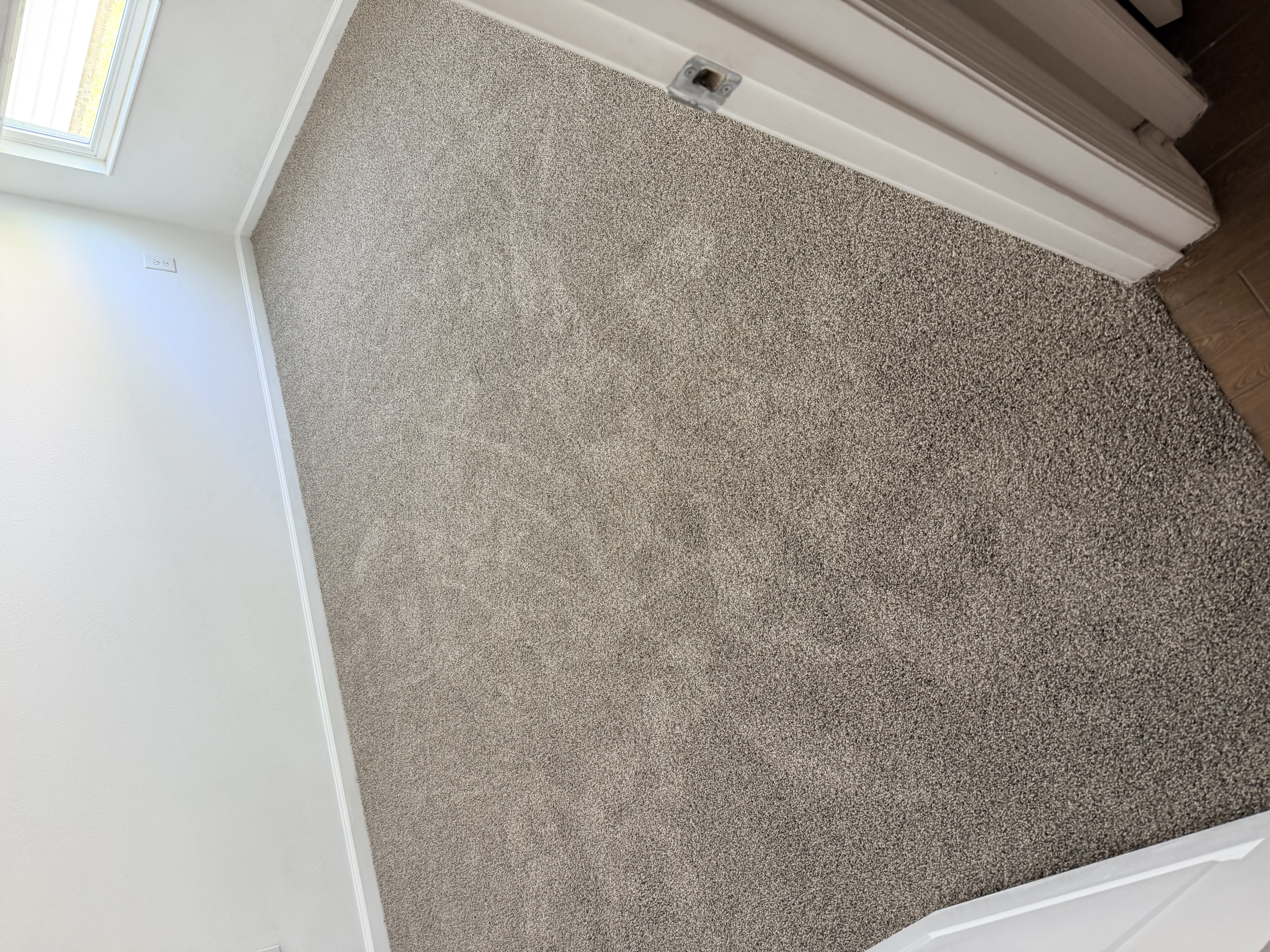 Office room in Tampa, FL with new grey commercial carpet