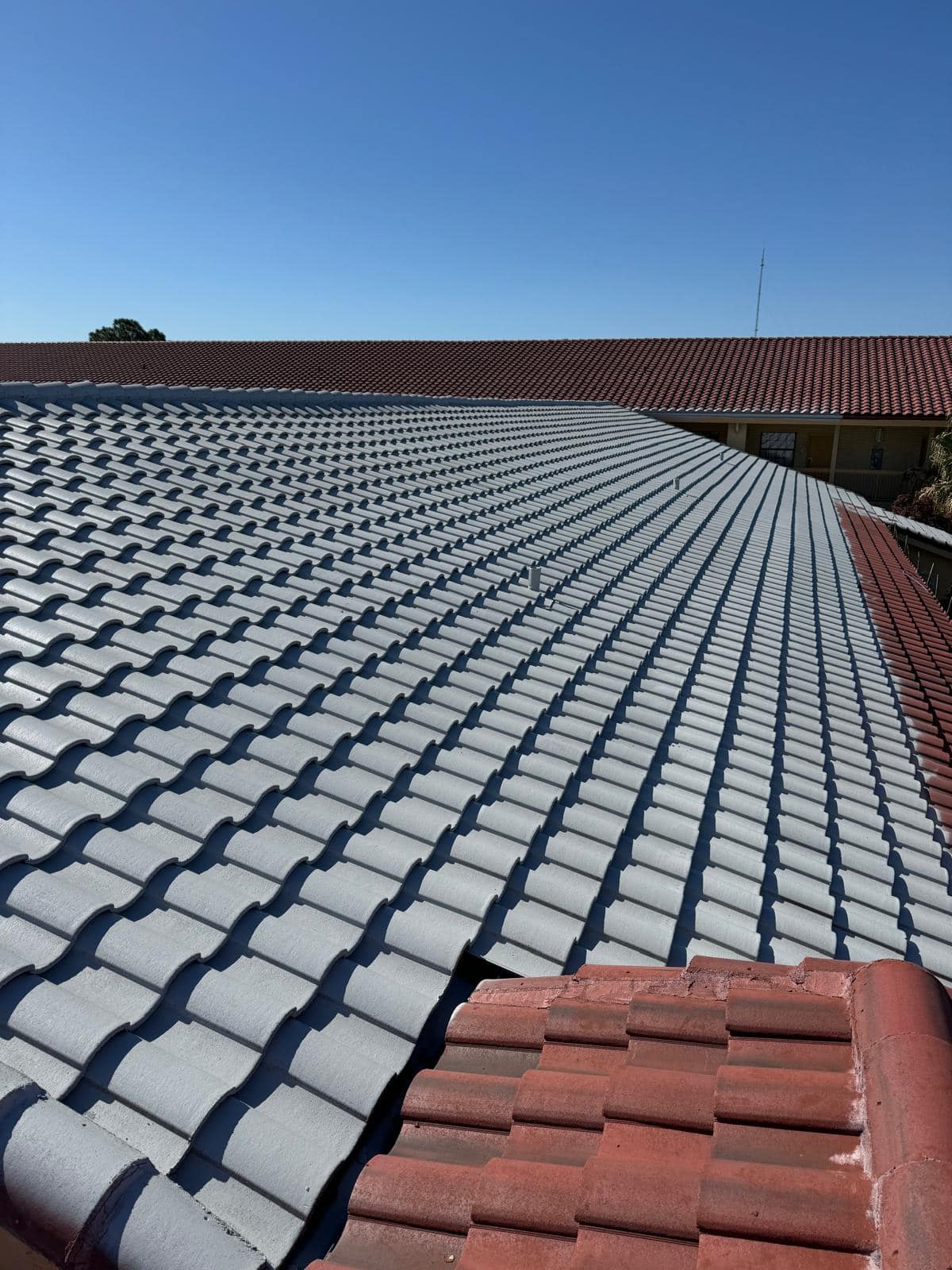  for GEOS Painting in New Braunfels, TX