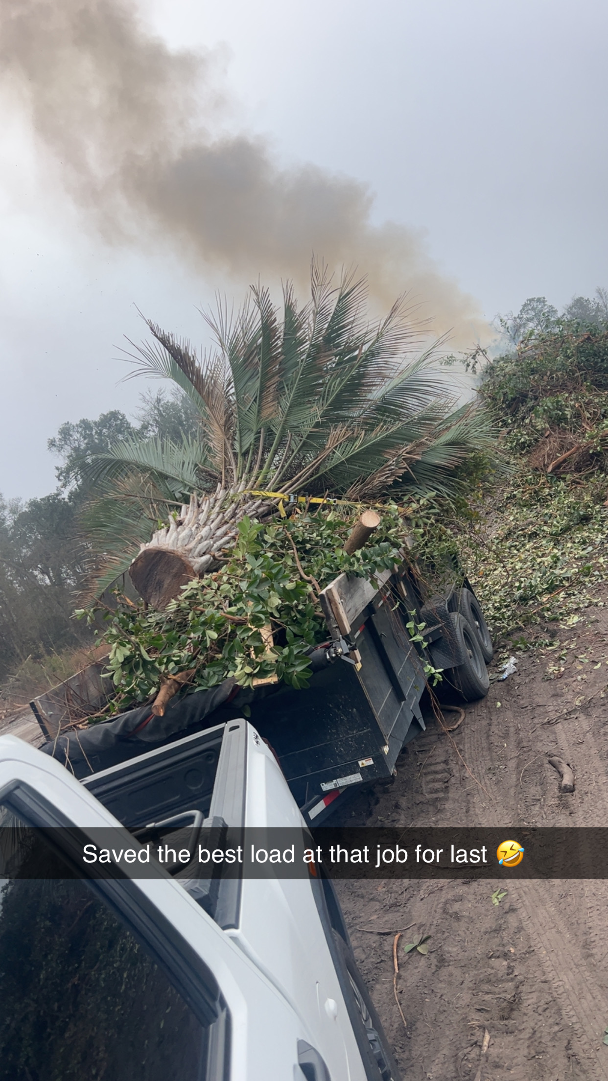 for Brandon Woodard’s Lawncare in Ludowici, GA