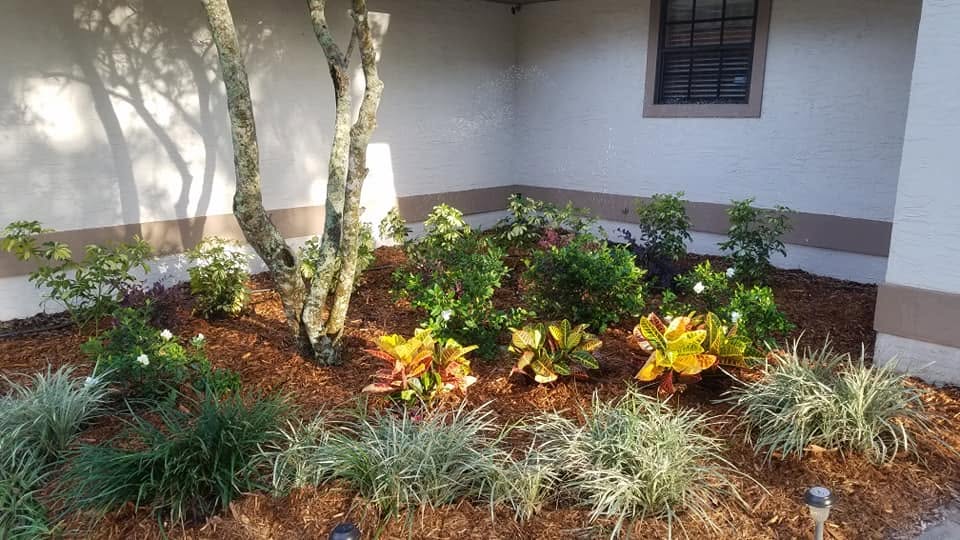  for Nate the Garden Guru in Orlando, FL