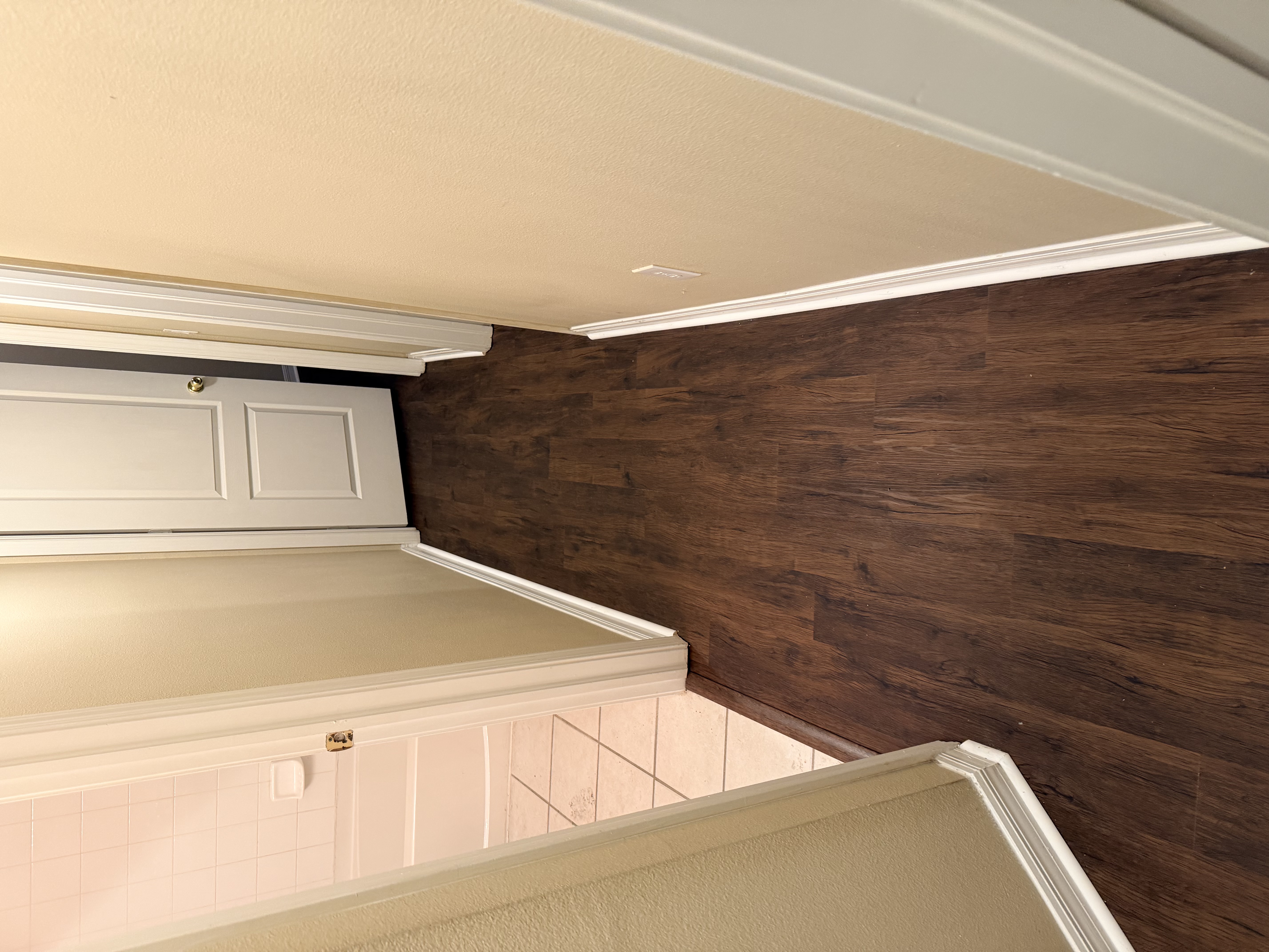 Tampa, FL hallway with new dark plank flooring leading to a bathroom