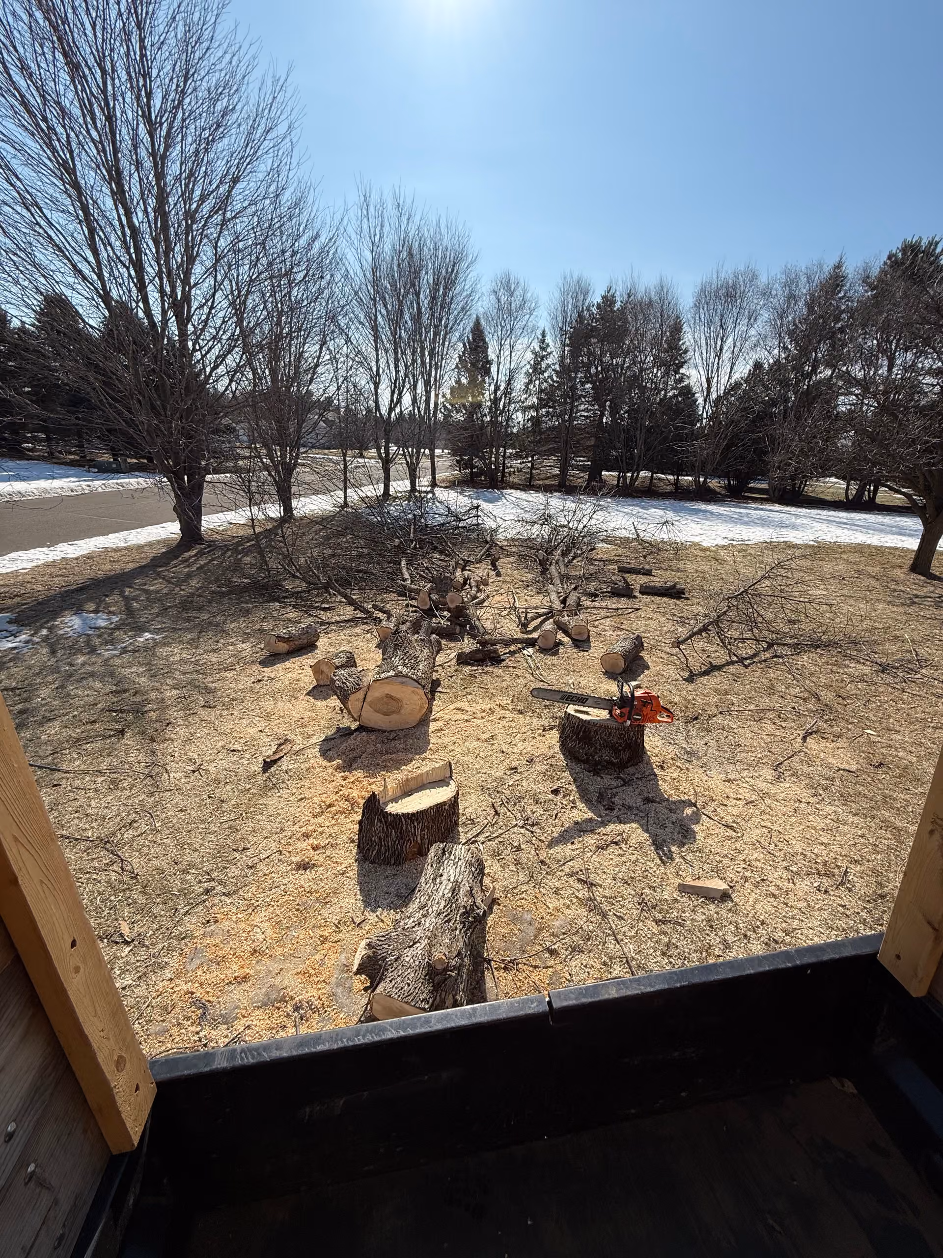 Tree Removal Project in East Bethel Minnesota