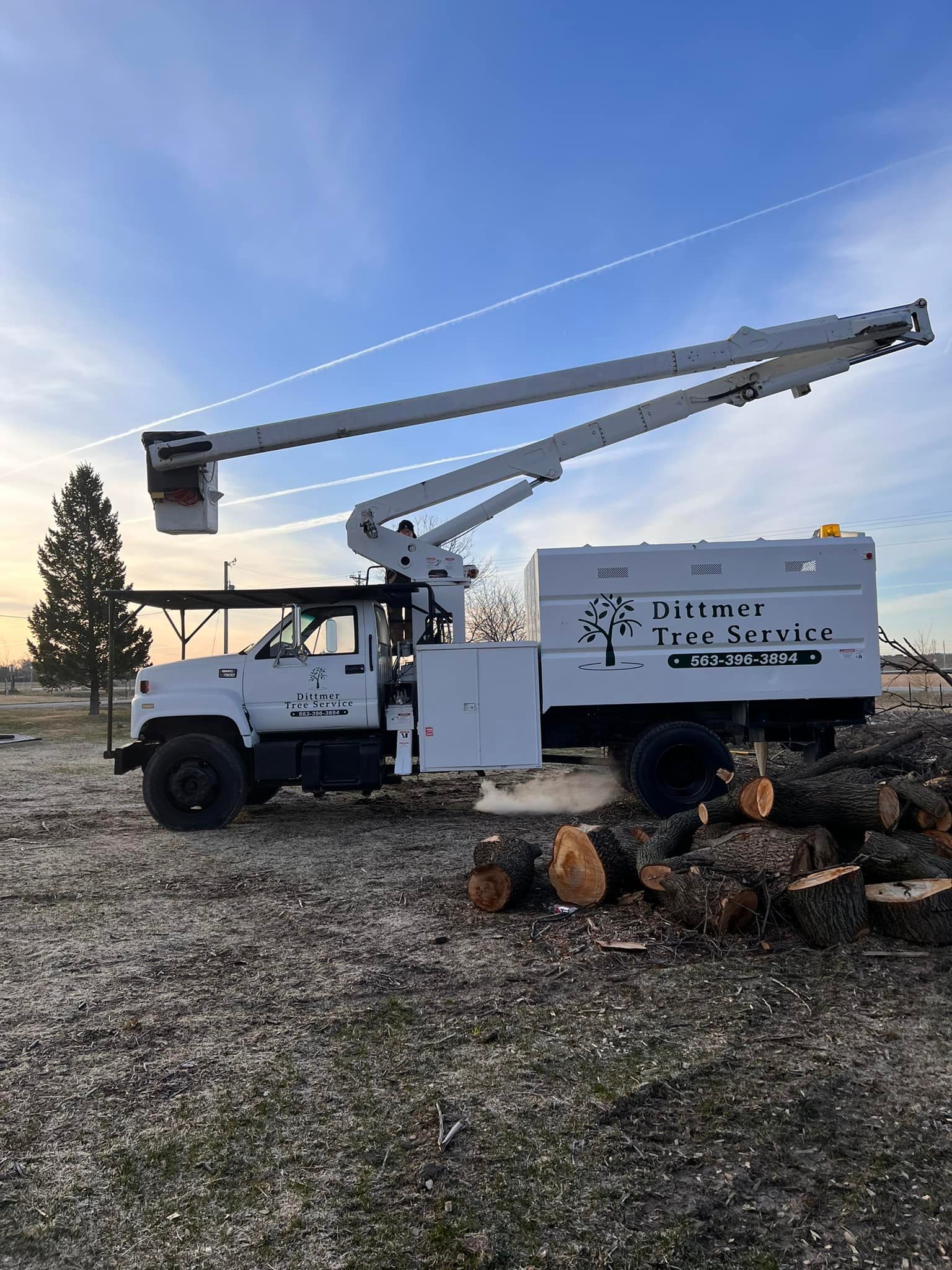 tree service company Dittmer Tree Service in Davenport, IA