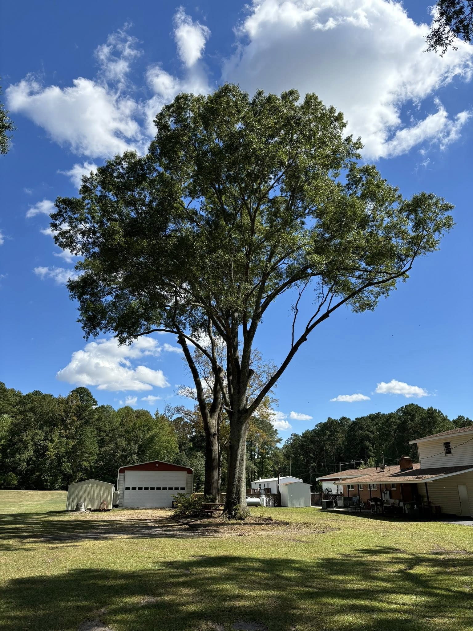 Total Tree Care team in Erwin, North Carolina - people or person
