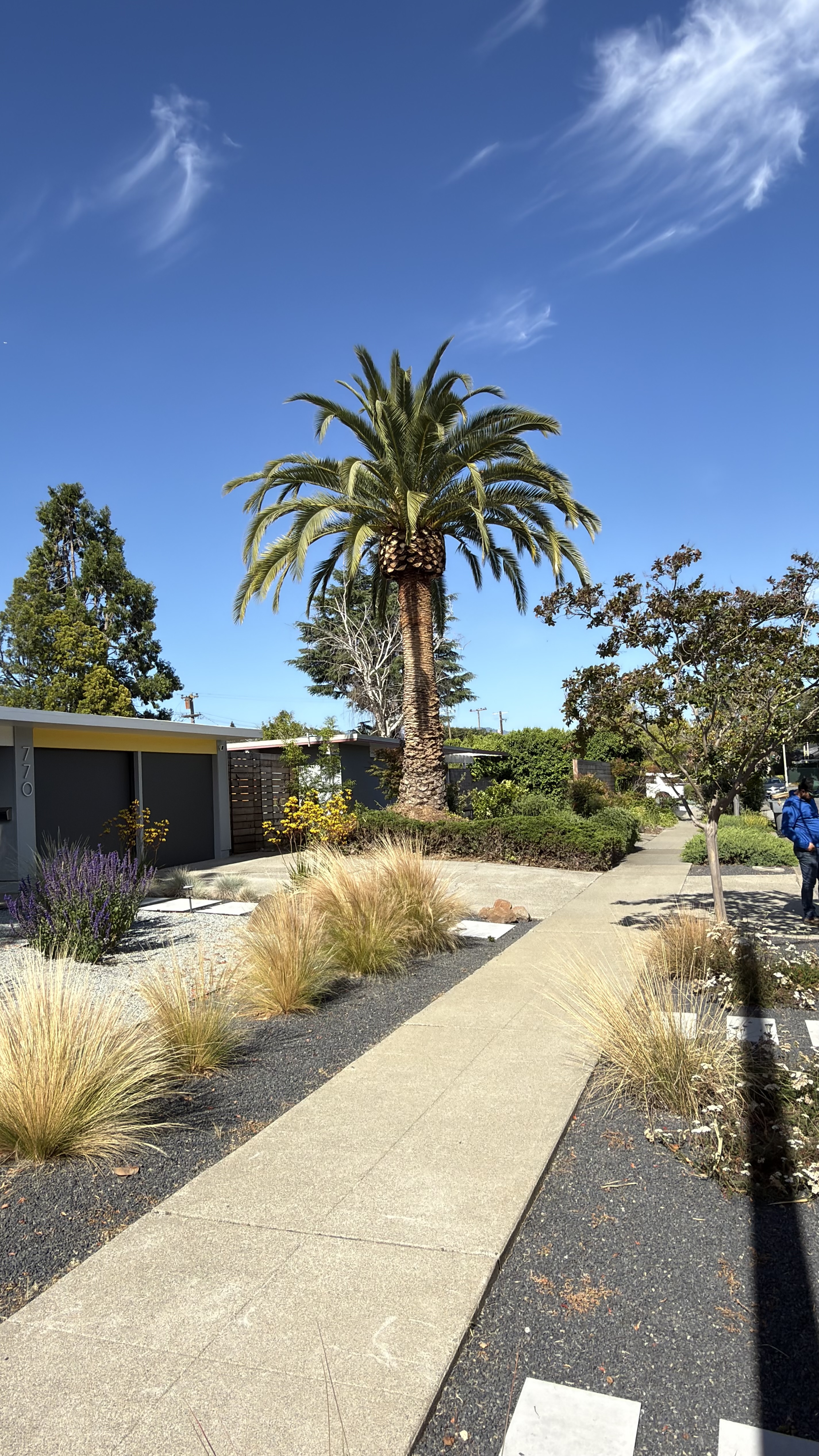  for A1 Tree Care LLC in San Jose, CA