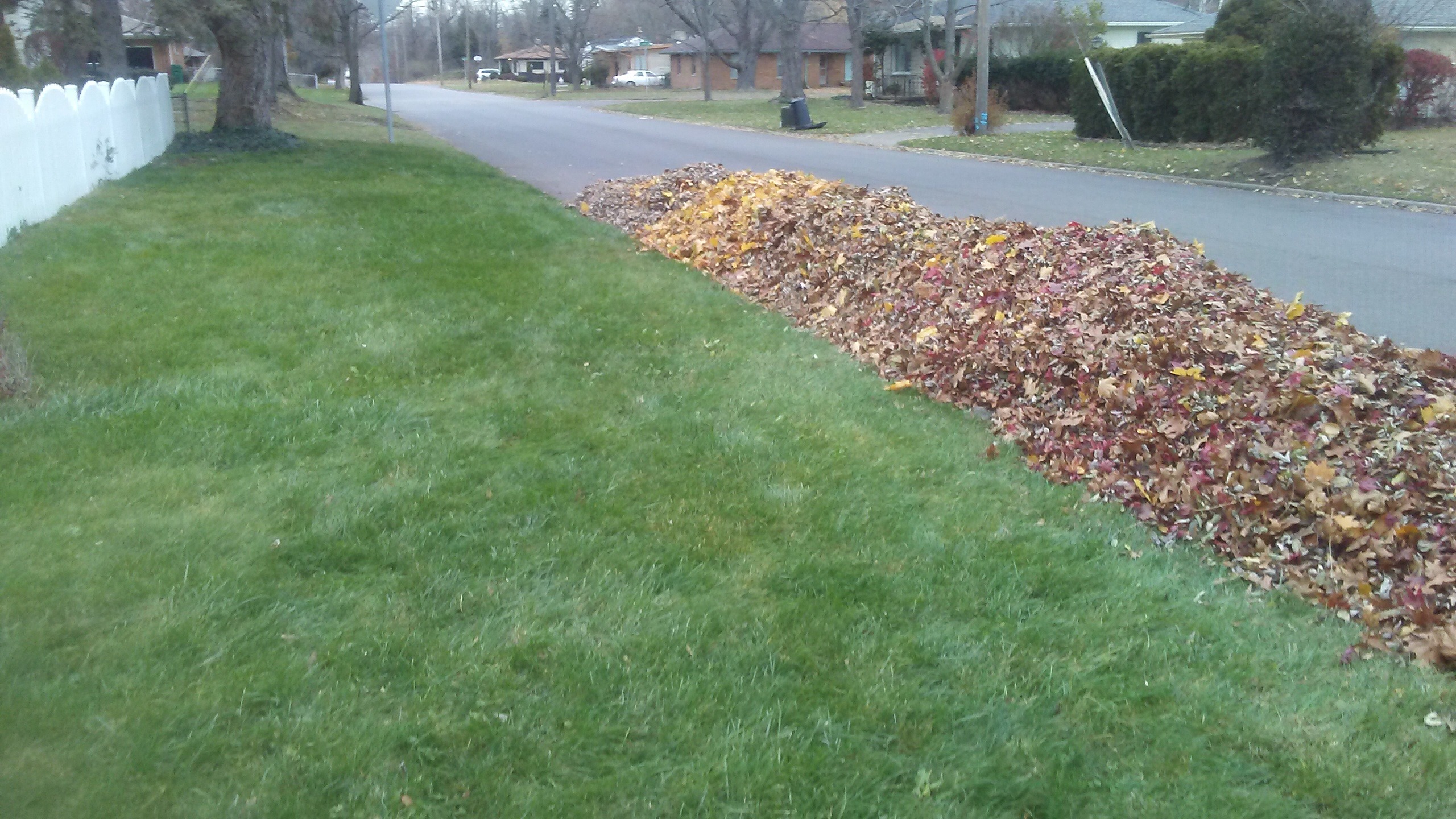  for Lightning Tree Service in Fair Grove, MO