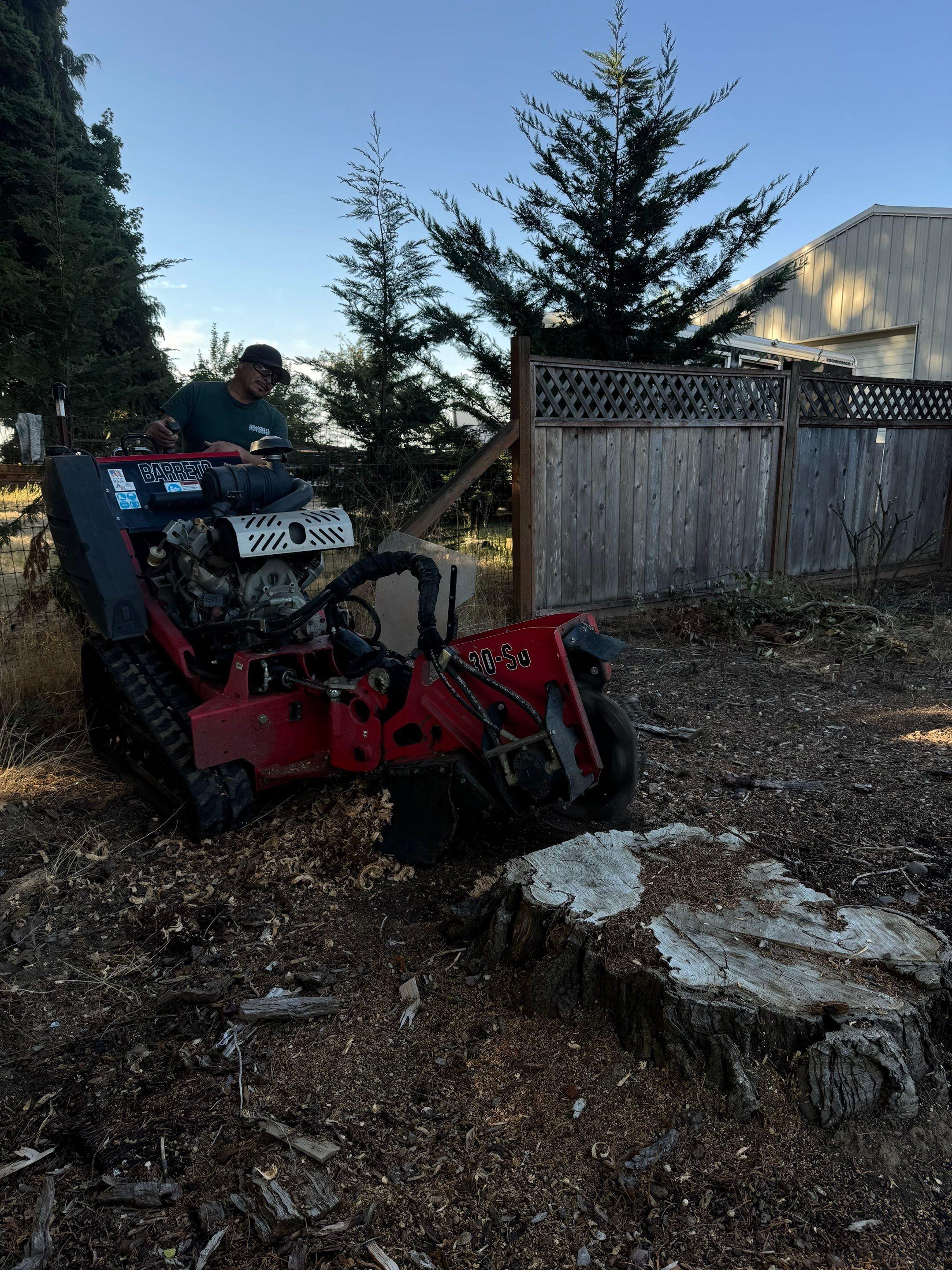  for Willamette Landscaping and Tree Services in Albany, OR