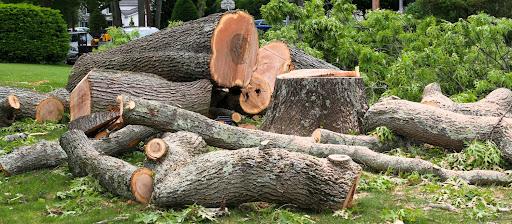  for Grade A Tree Service & Land Clearing in Fayetteville, NC