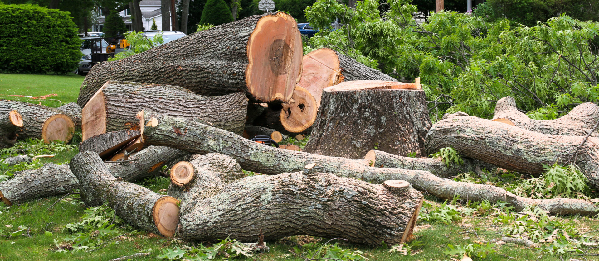  for Grade A Tree Service & Land Clearing in Fayetteville, NC