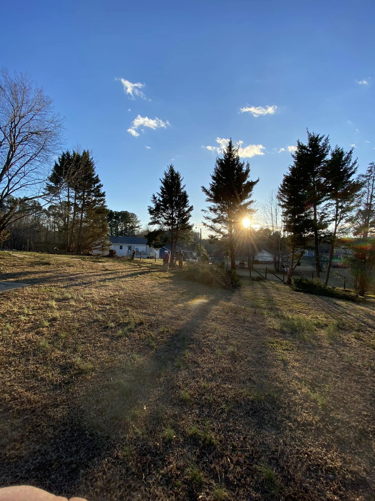 Tree Services company MTJ Tree Removal LLC in Zebulon, NC