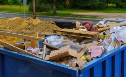  for Rodge Dawg Services and Property Management LLC in Port Huron, MI