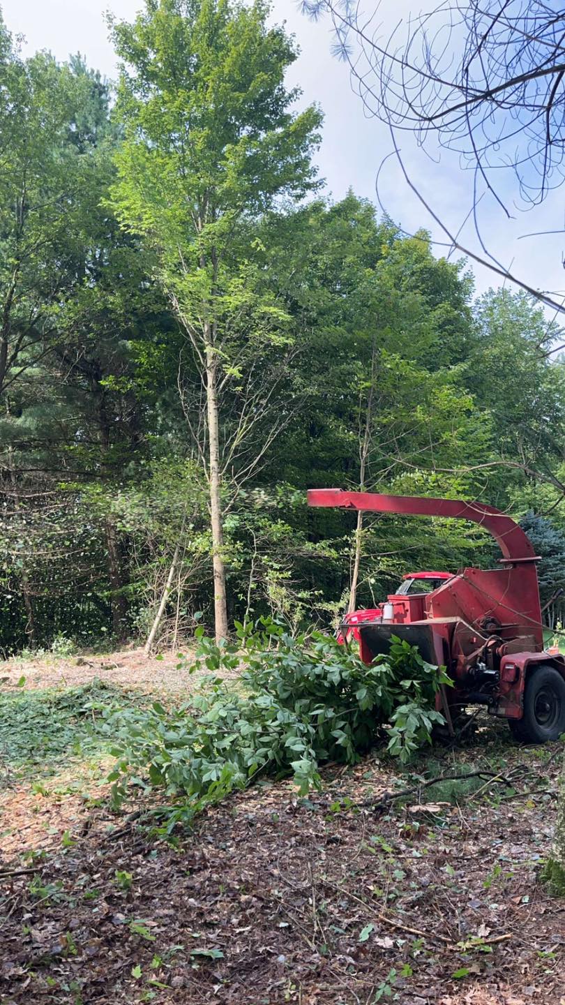  for Helfert Tree Service in Boonville, NY